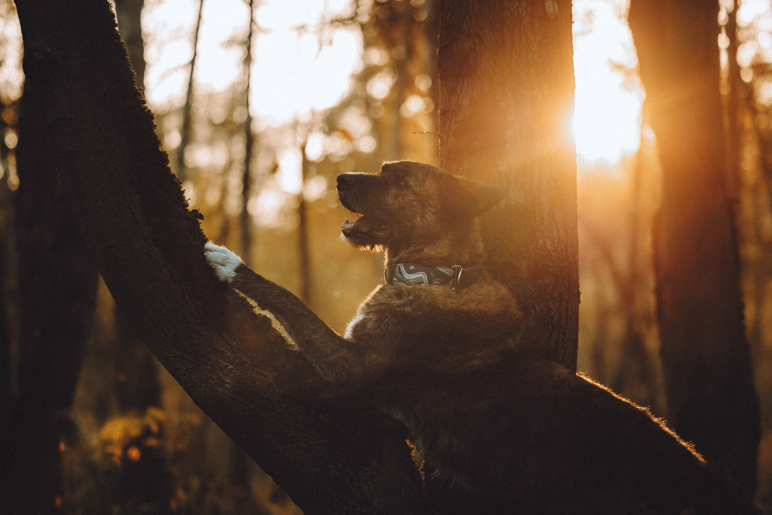 Рик, Джек и их семья