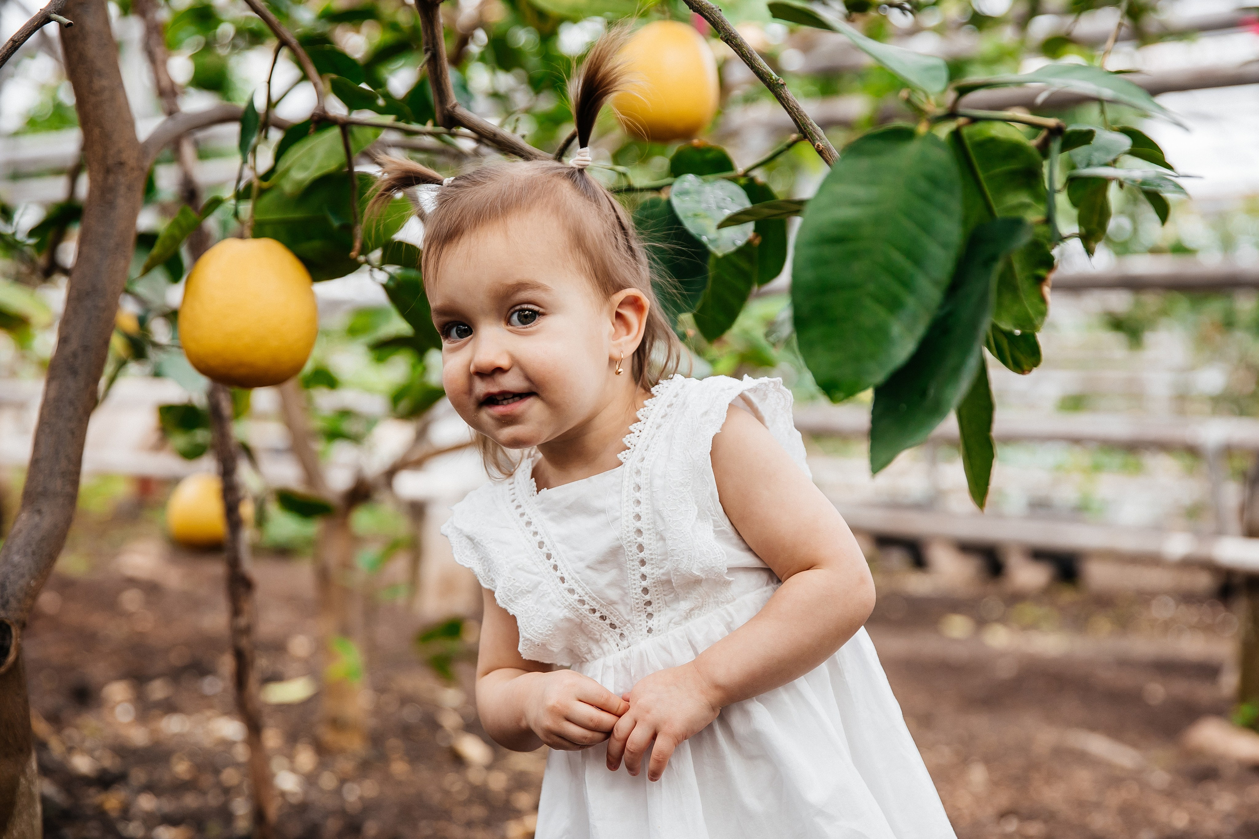 Лимонарий. Свадебный и семейный фотограф у Уфе Евгения Сазонова