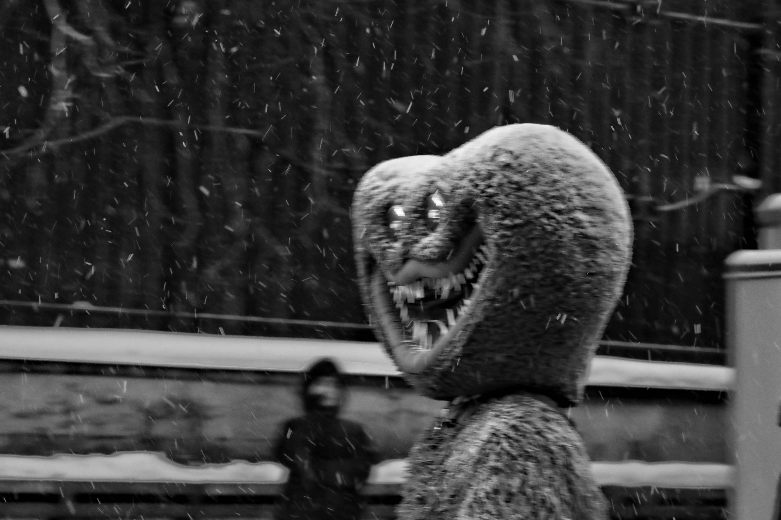 Серия «Подснежники». ANNA PAVLIKOVSKAYA ЧЕРНО-БЕЛАЯ ФОТОГРАФИЯ — ЭТО Я