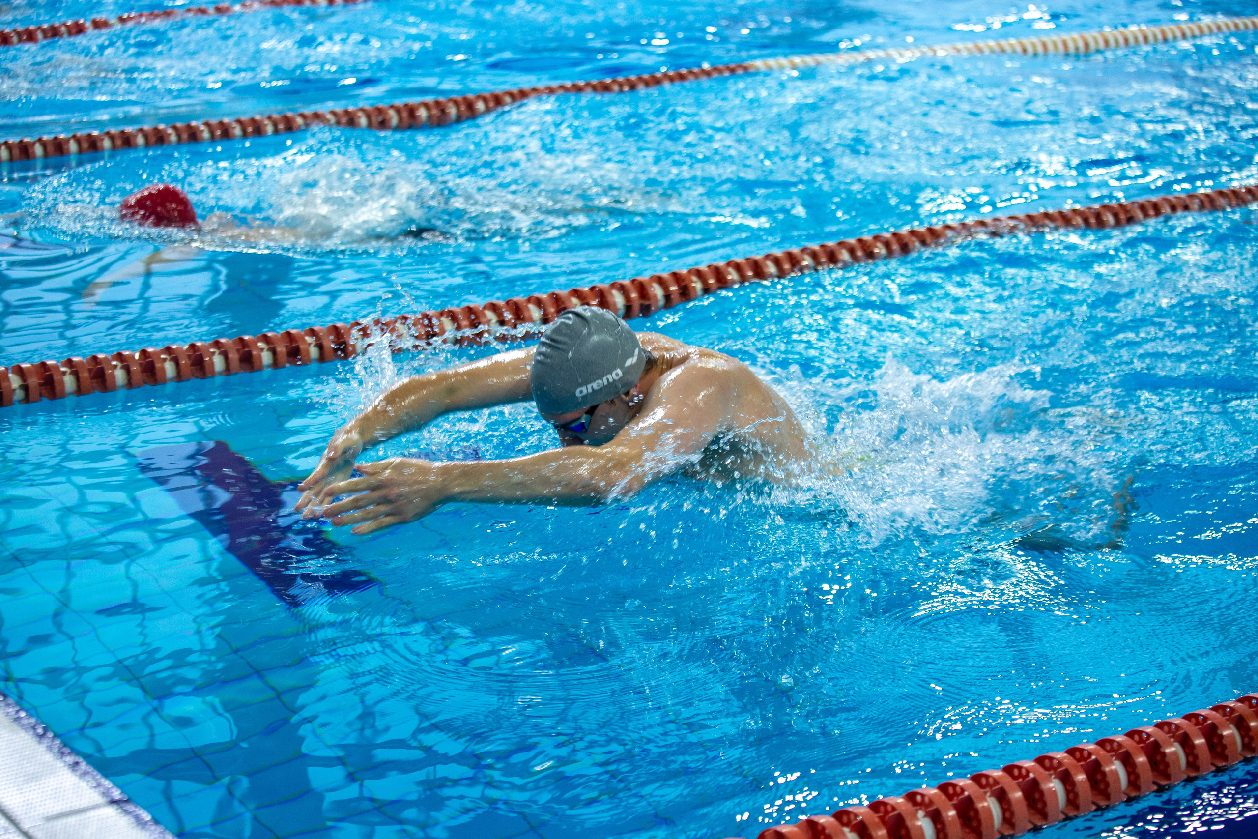 Турнир по плаванию. Репортажный, семейный, свадебный, портретный фотограф