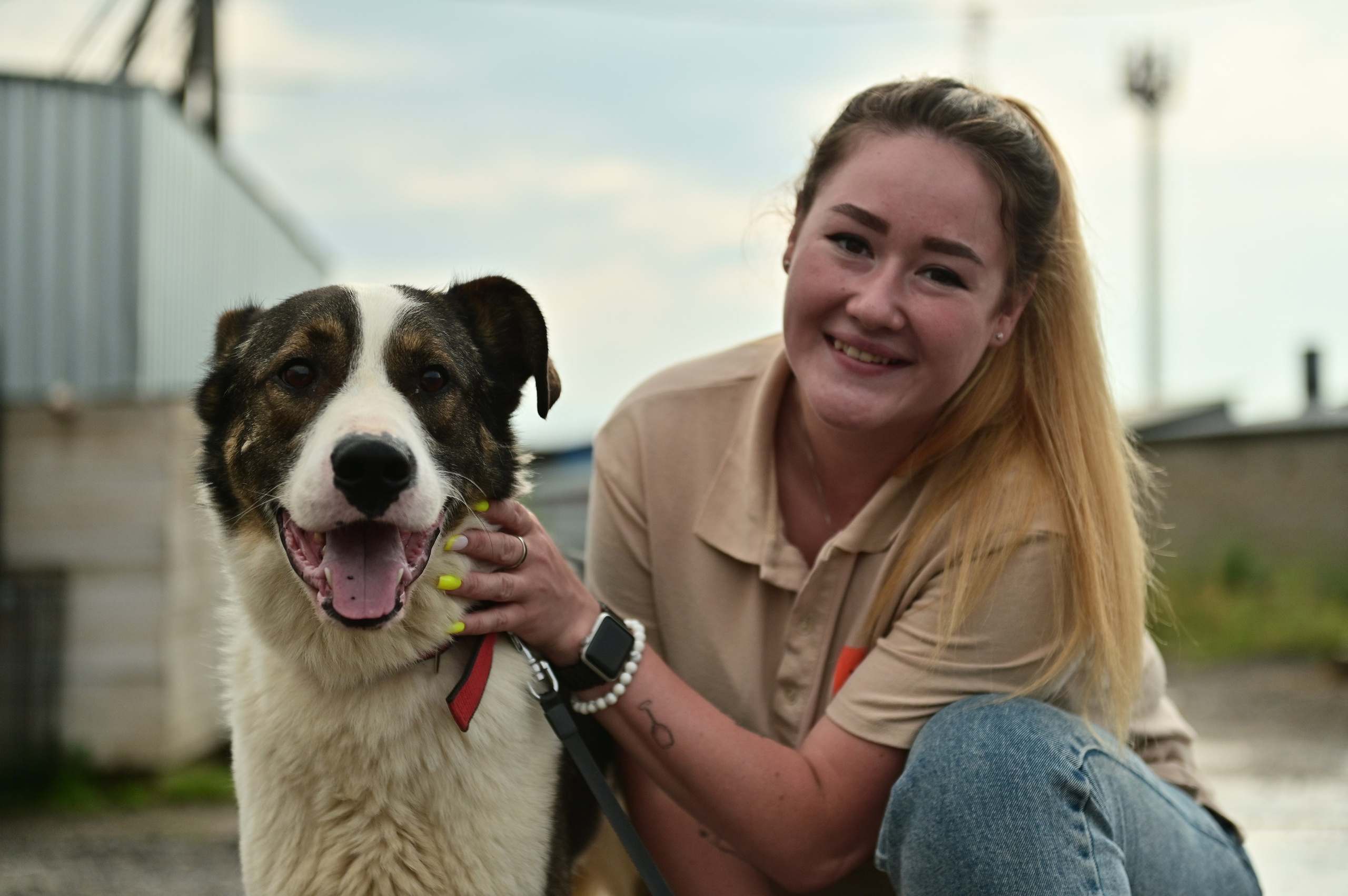 Добролап: поездка в приют «Ника». Анна Пушина, фотограф, Москва, Королев, Пушкино