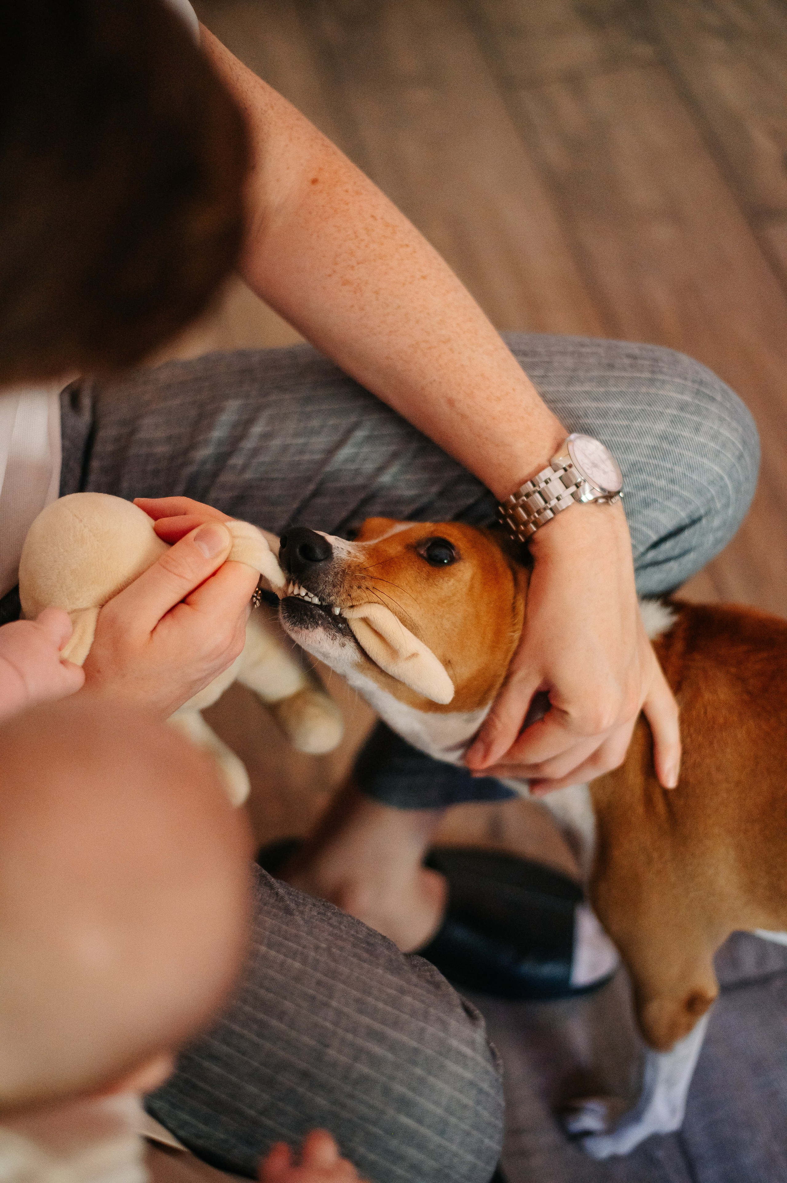 Юля, Вова, Рома и их хвостики (Щелково, 2024). Анна Пушина, фотограф, Москва, Королев, Пушкино