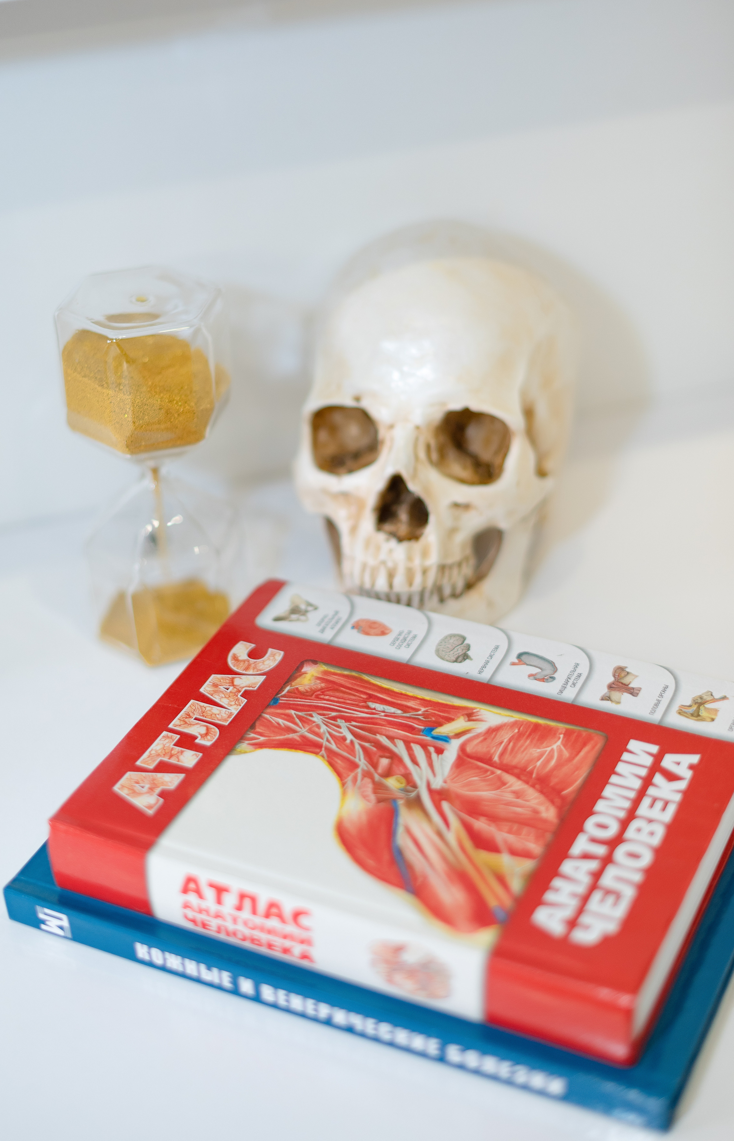 школьный фотограф Сургут