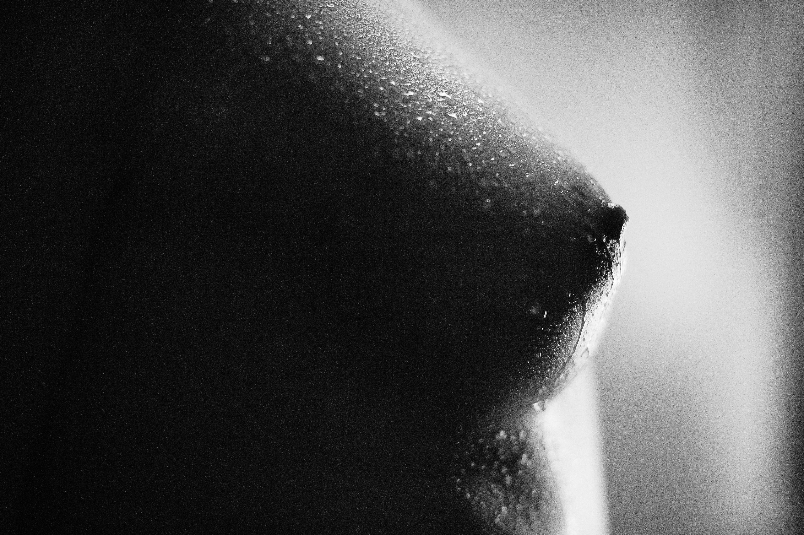 Прекрасная Лиза. Детский и семейный фотограф в Сургуте и Нефтеюганске Анна Старцева