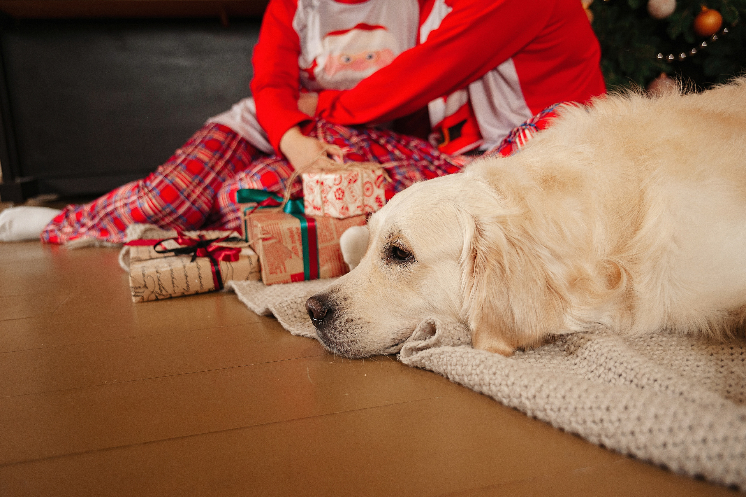 Семейная фотосессия в студии FormatLoft. Детский и семейный фотограф в Сургуте и Нефтеюганске Анна Старцева