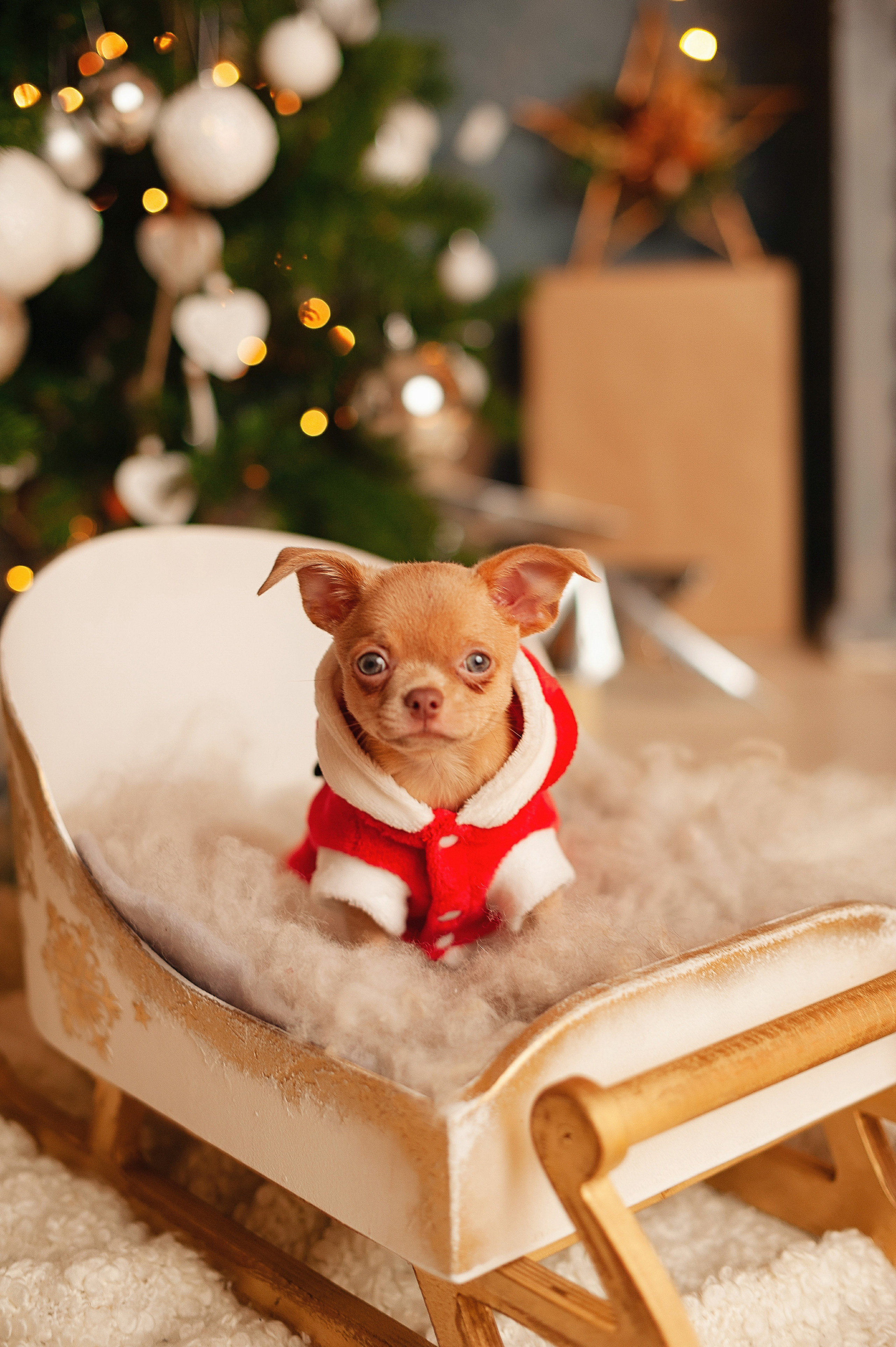 Александра Дмитриевна в студии Леси Бельман. Индивидуальная фотосессия. Детский и семейный фотограф в Сургуте и Нефтеюганске Анна Старцева