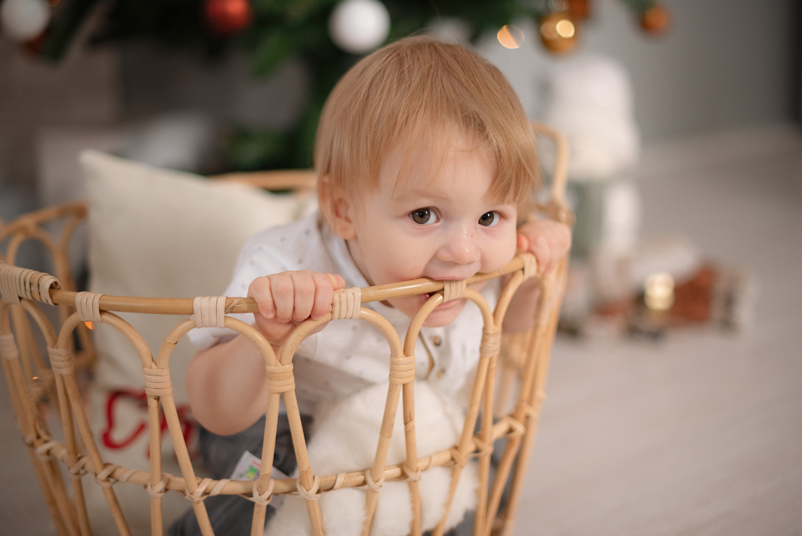 Семейная фотосессия в фотостудии Lime. Детский и семейный фотограф в Сургуте и Нефтеюганске Анна Старцева