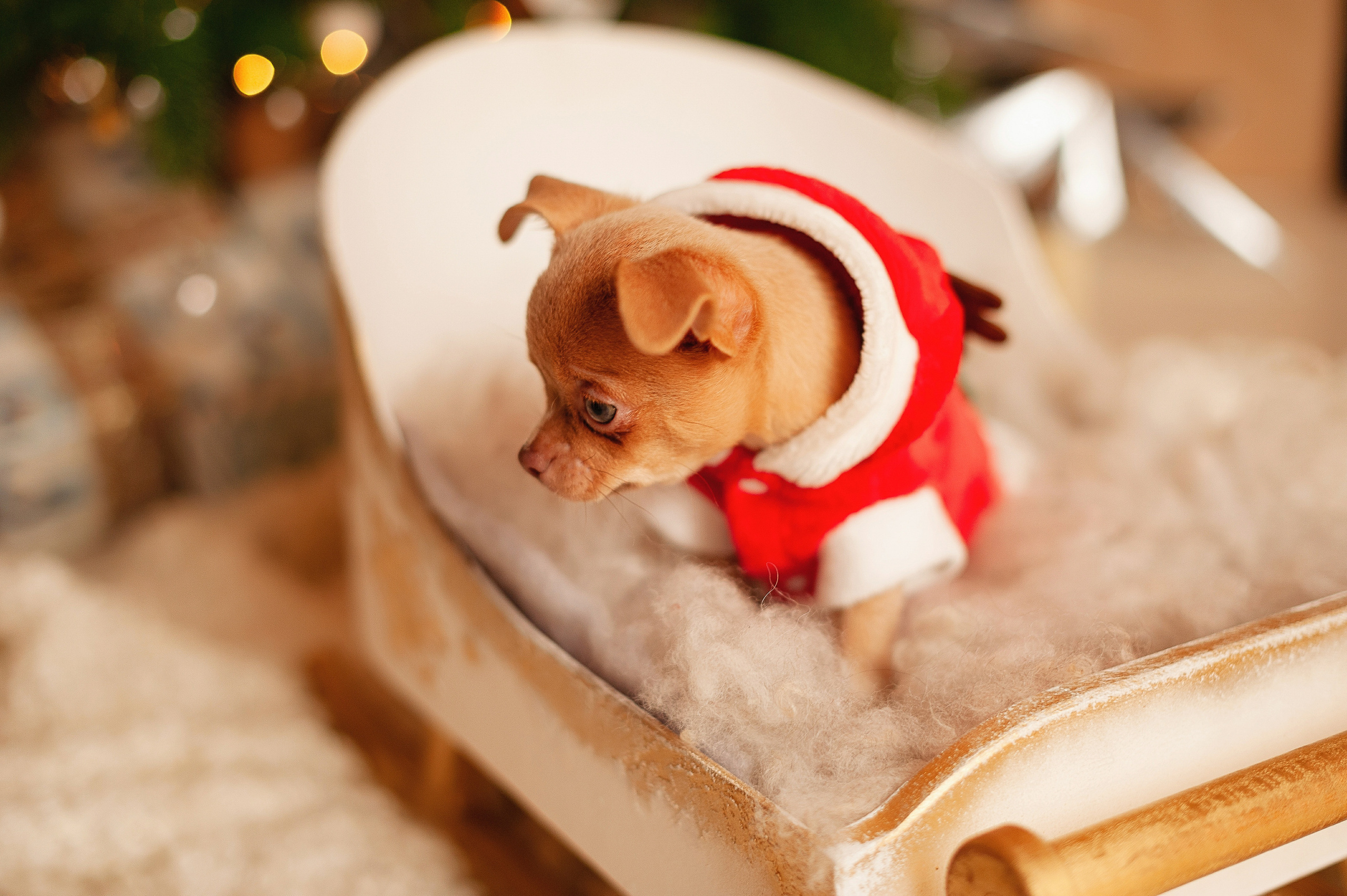 Александра Дмитриевна в студии Леси Бельман. Индивидуальная фотосессия. Детский и семейный фотограф в Сургуте и Нефтеюганске Анна Старцева