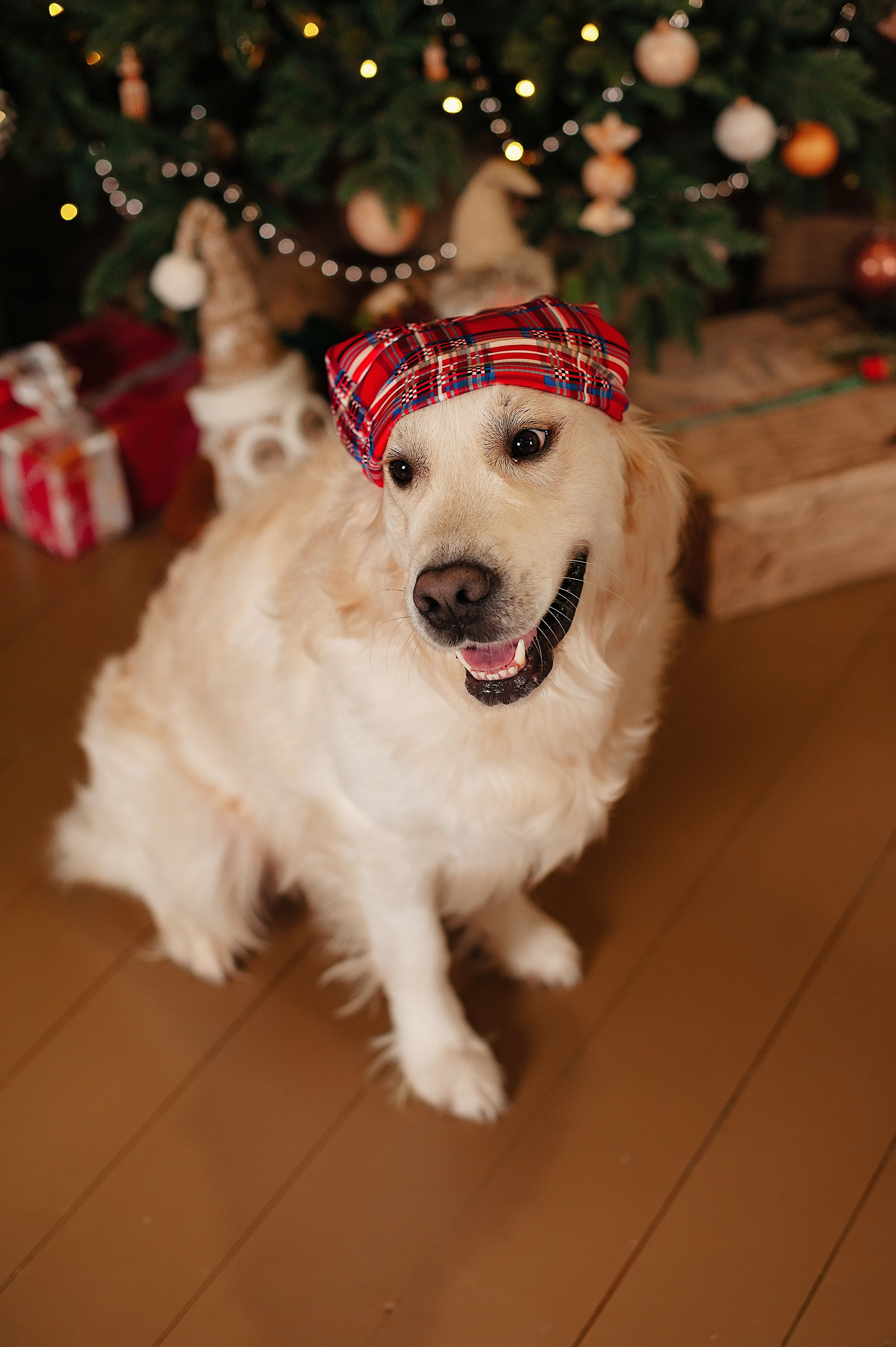 Семейная фотосессия в студии FormatLoft. Детский и семейный фотограф в Сургуте и Нефтеюганске Анна Старцева