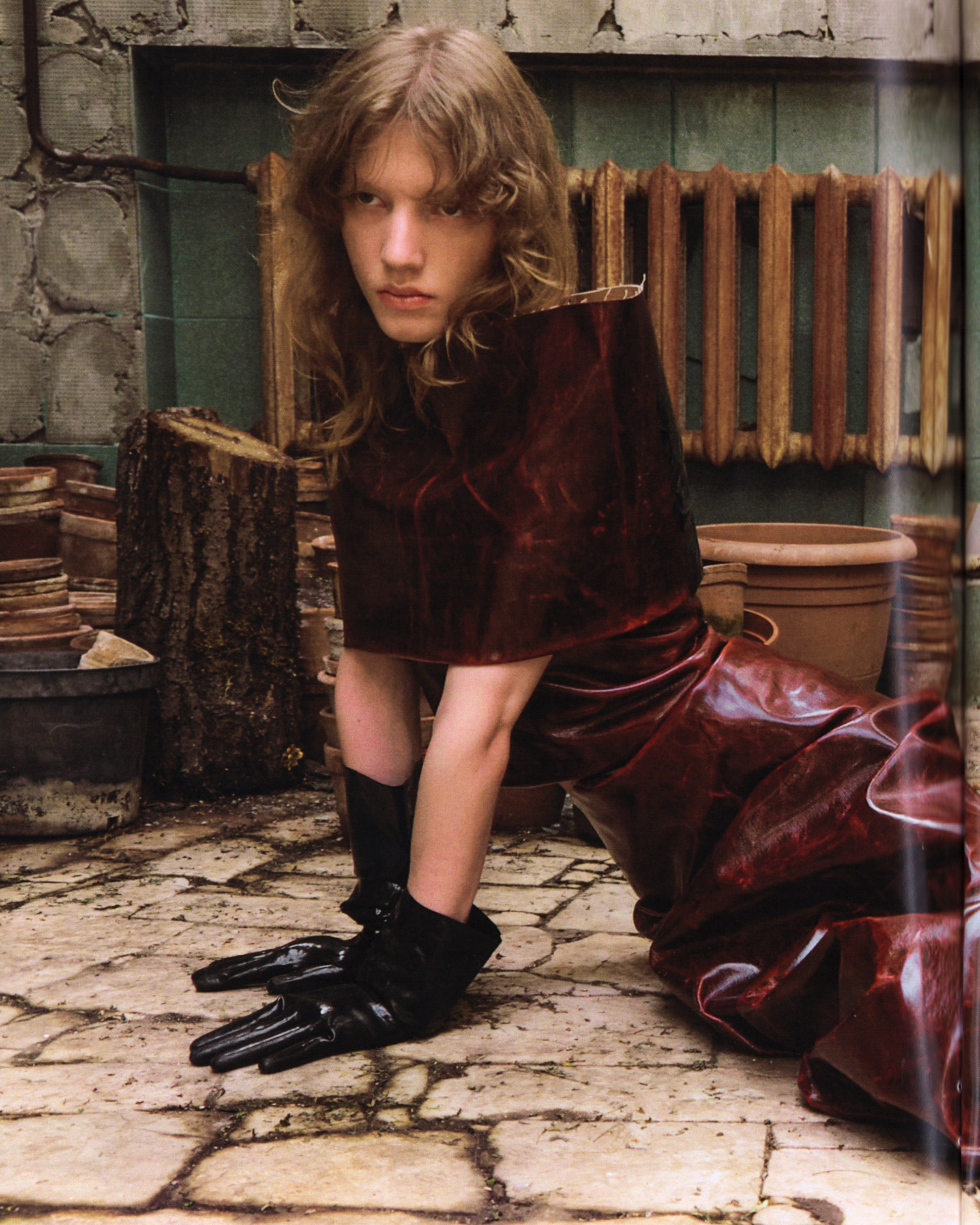 Greenhouse. Iliaarkhangelskii