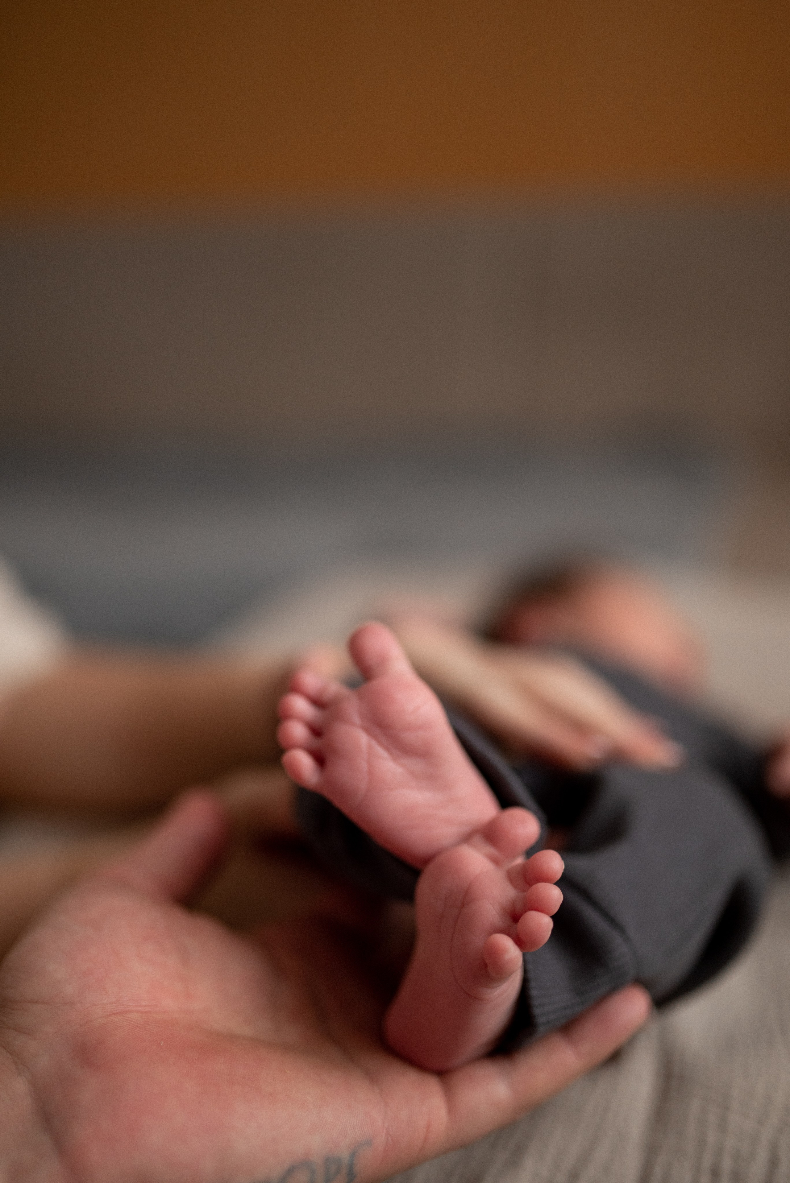 Мирон. Семейный фотограф Ирина Сгибнева