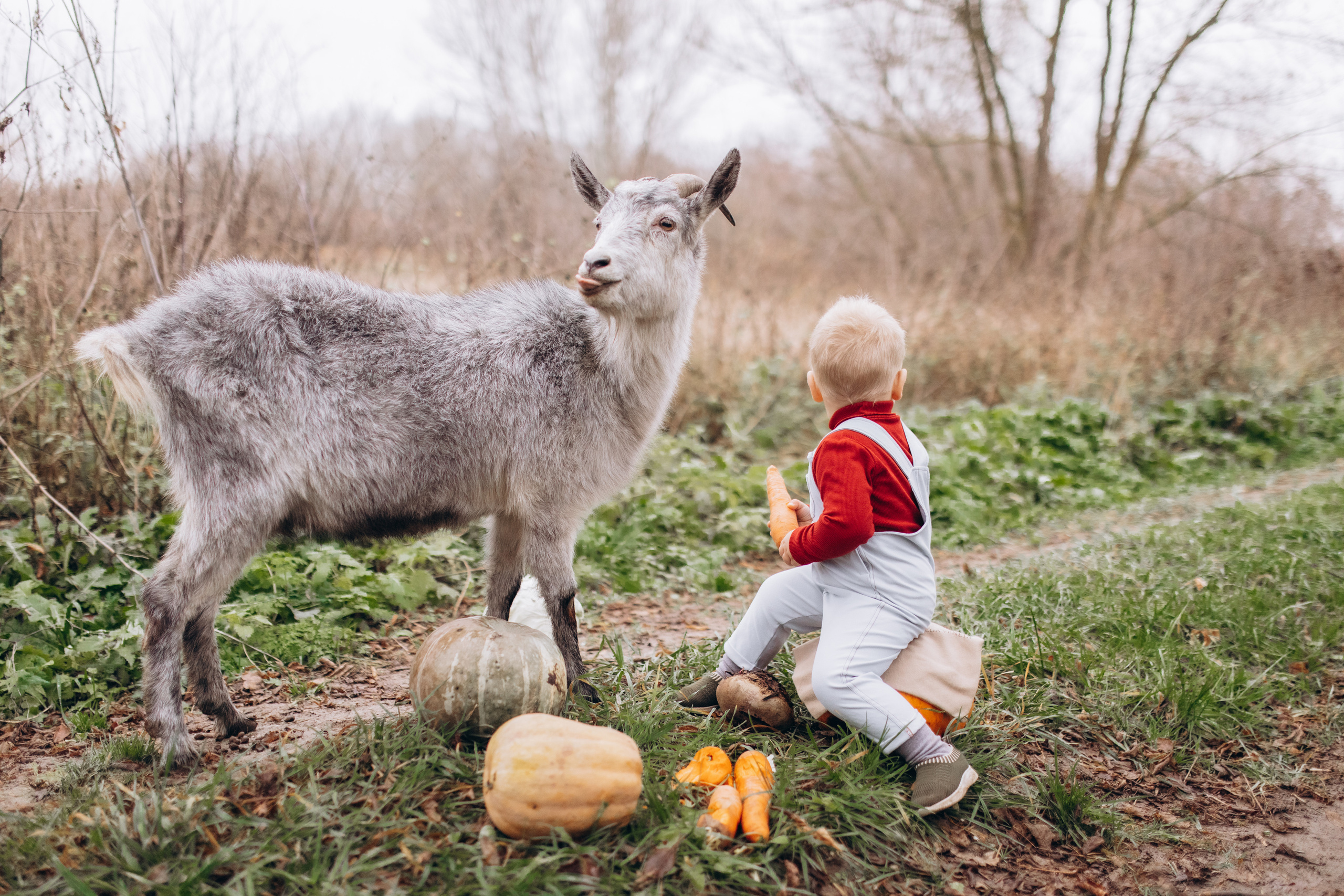 Семейная съемка. Фотограф в Москве Алёна Гладкова