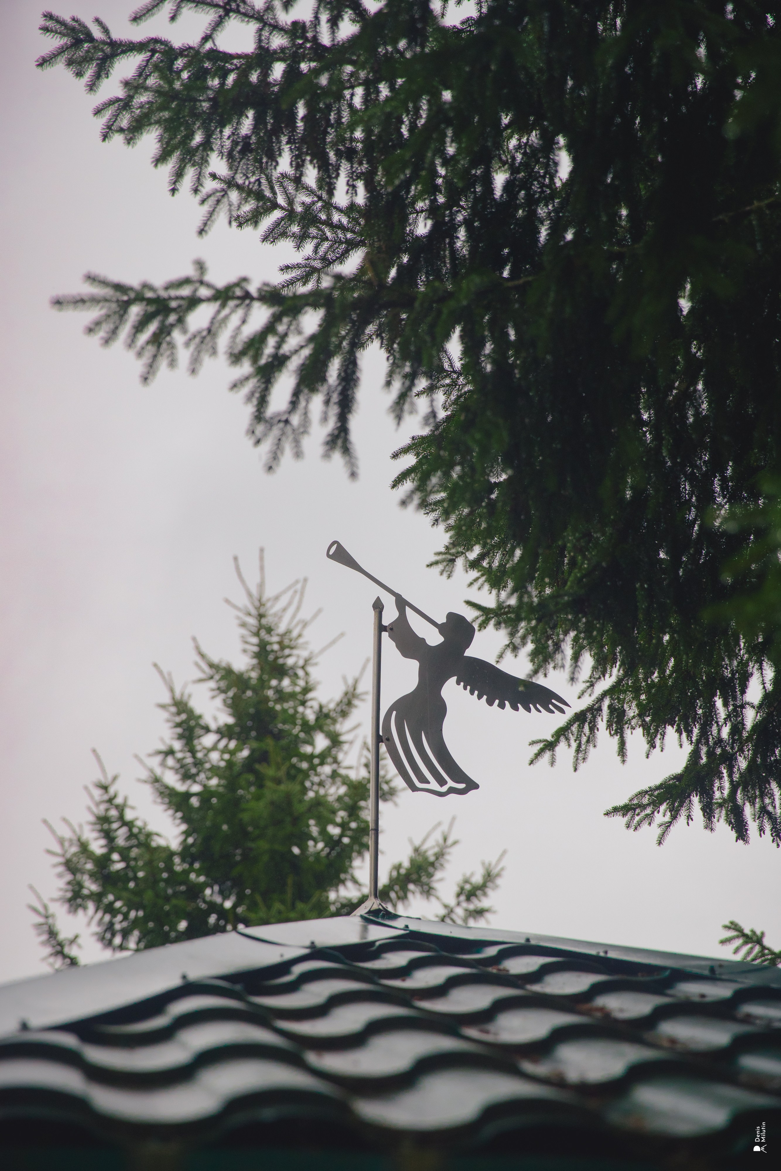 Женский Митрофаниевский скит Важеозерского мужского монастыря. Портретный фотограф Денис Милютин