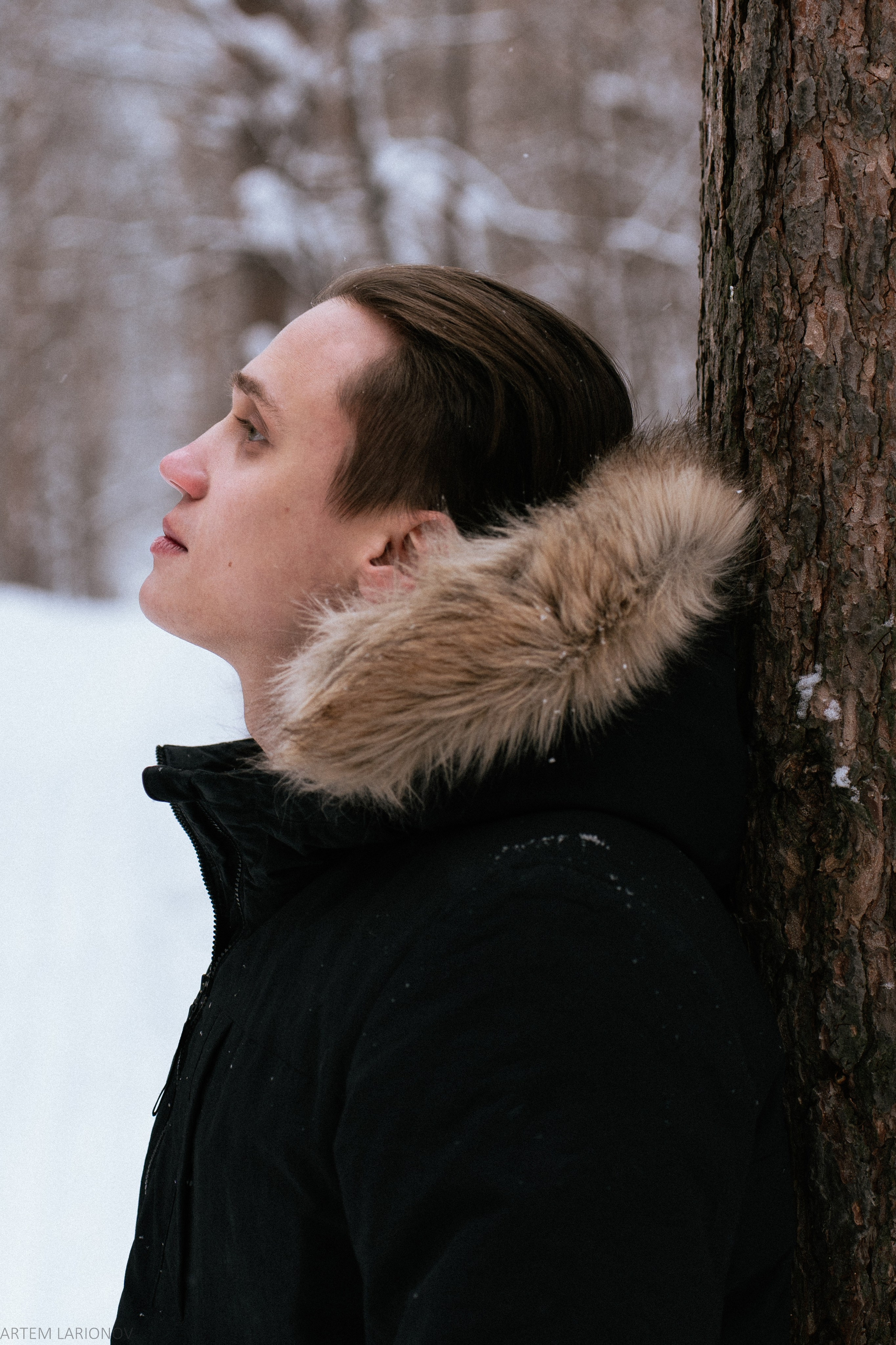 Снежный лес. Фотограф Артем Ларионов