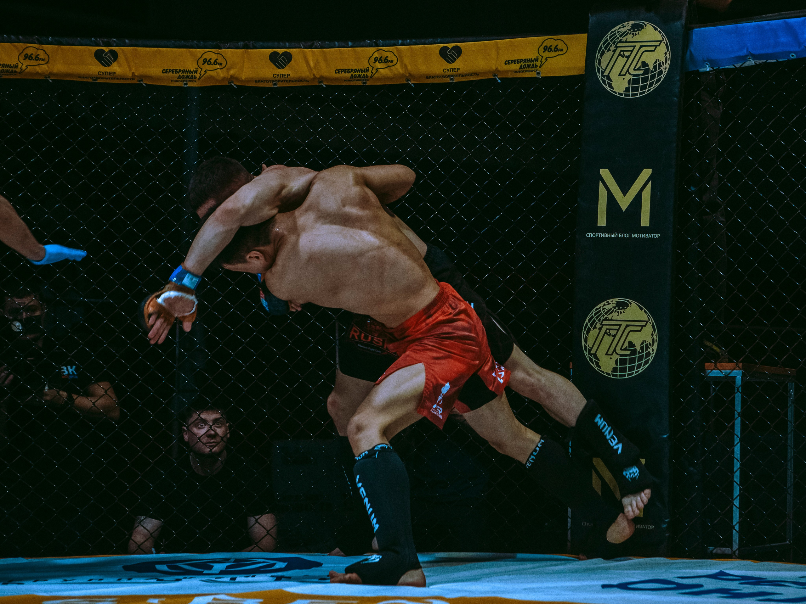 SFL 17 | Siberian Fighting League. Портретный фотограф в Москве Дарья Цезария