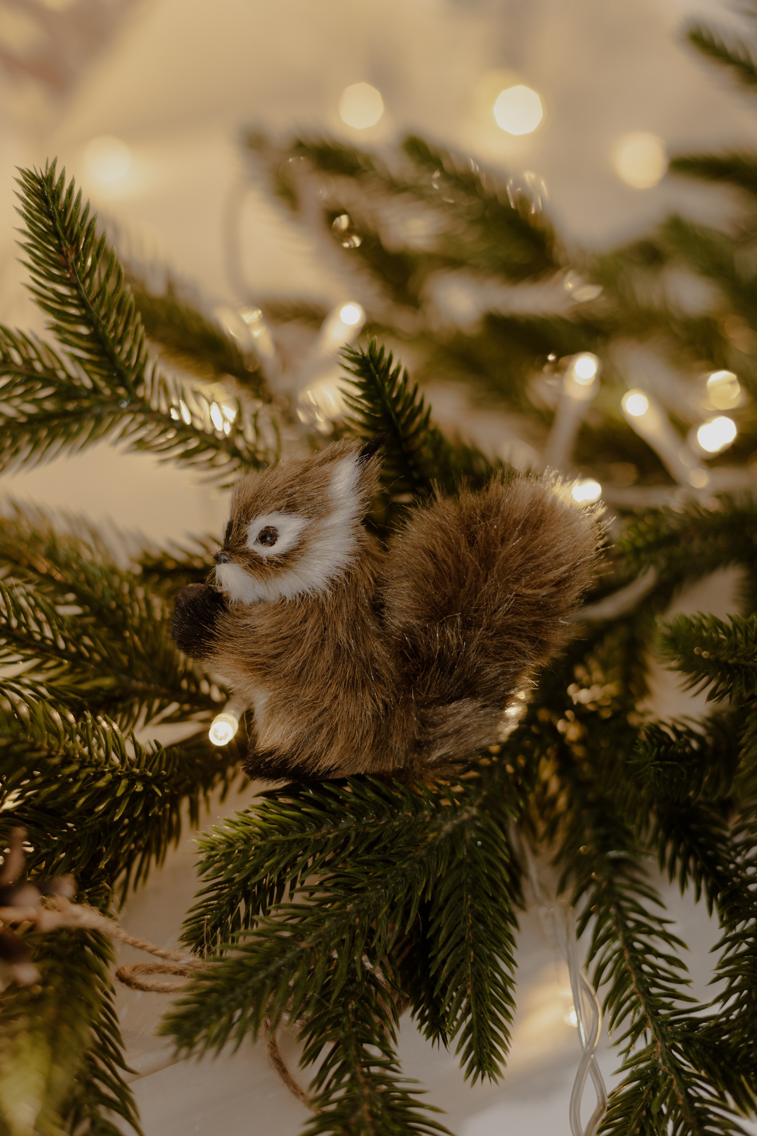 Новогодняя фотосессия в Железнодорожном и Балашихе — Закажите сейчас!