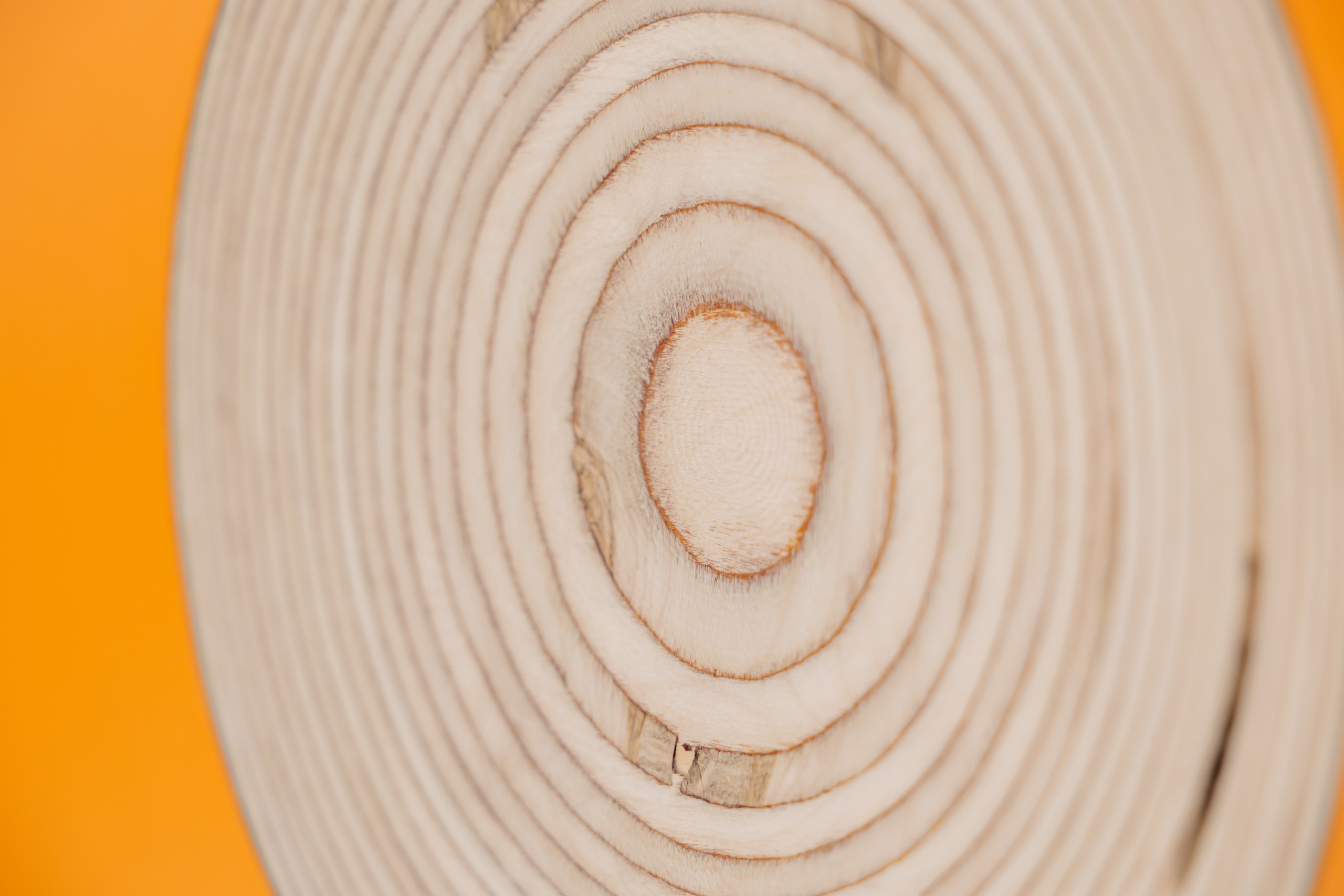 ЧЕБ И РЕК | РИО. ФОТОГРАФ ИРИНА ШАМАТАВА