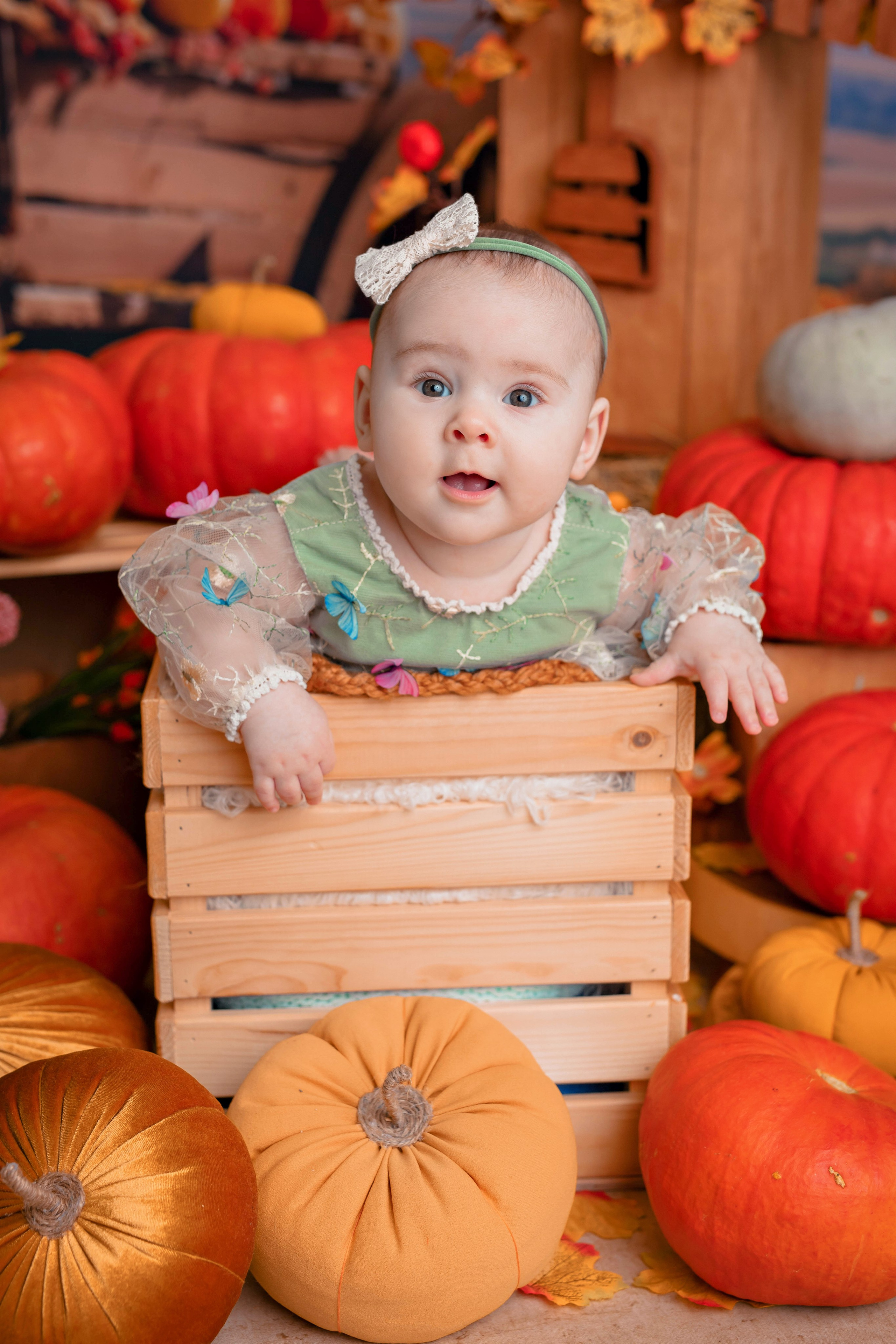 Тыквы. Фотограф Болотова Иветта