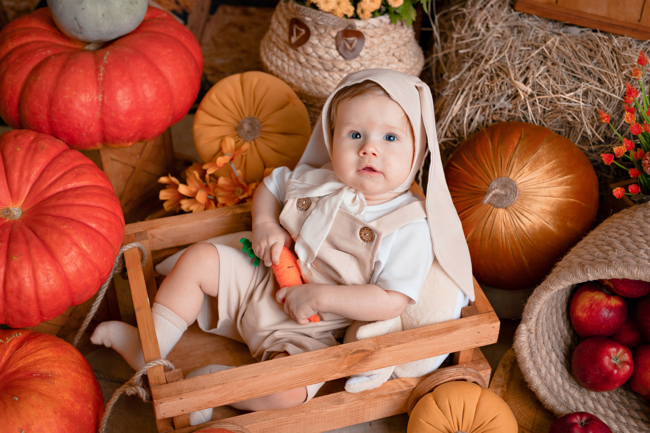 Тыквы. Фотограф Болотова Иветта