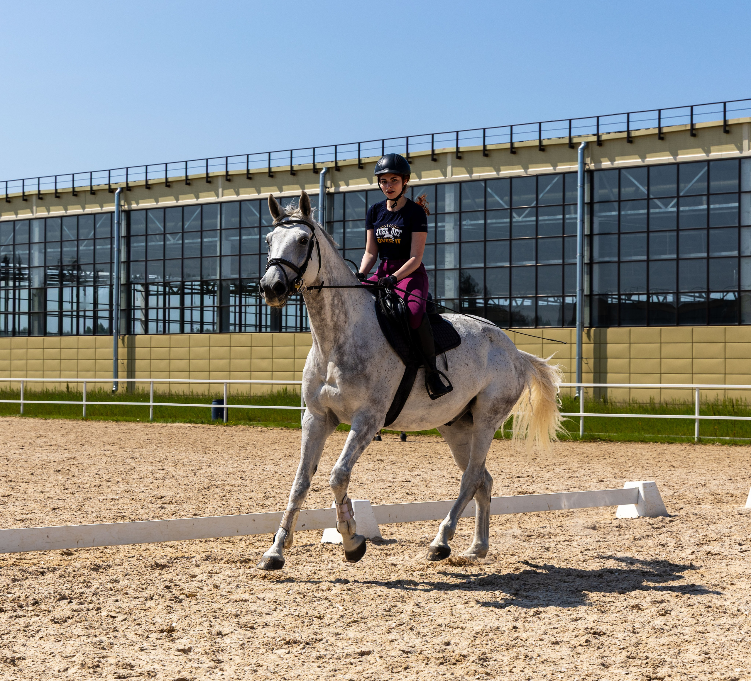 Репортаж.Конная тренировка. Портретный и семейный фотограф Санкт-Петербург