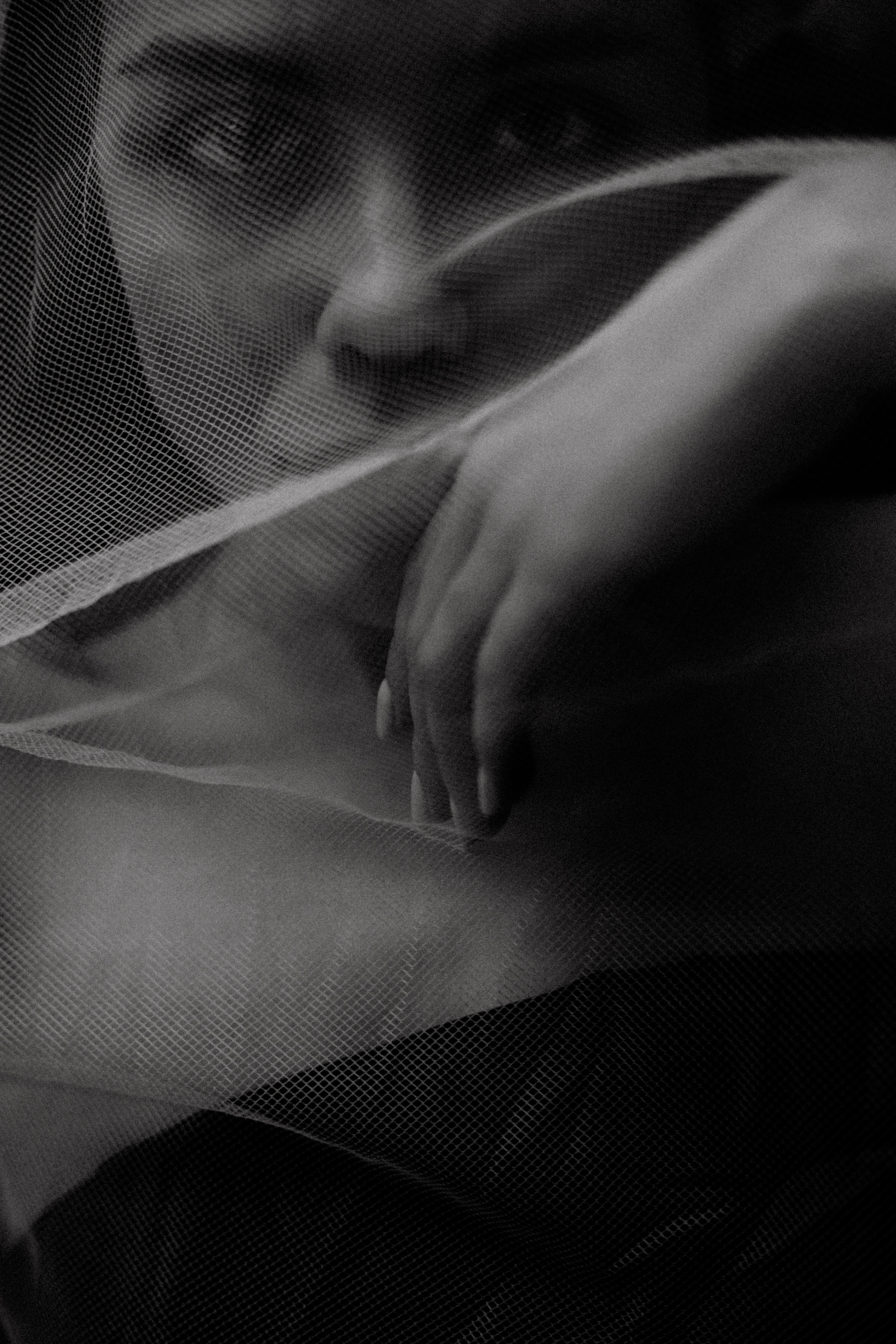 Федя, Надя, Женя. Свадебный фотограф Таня Караисаева