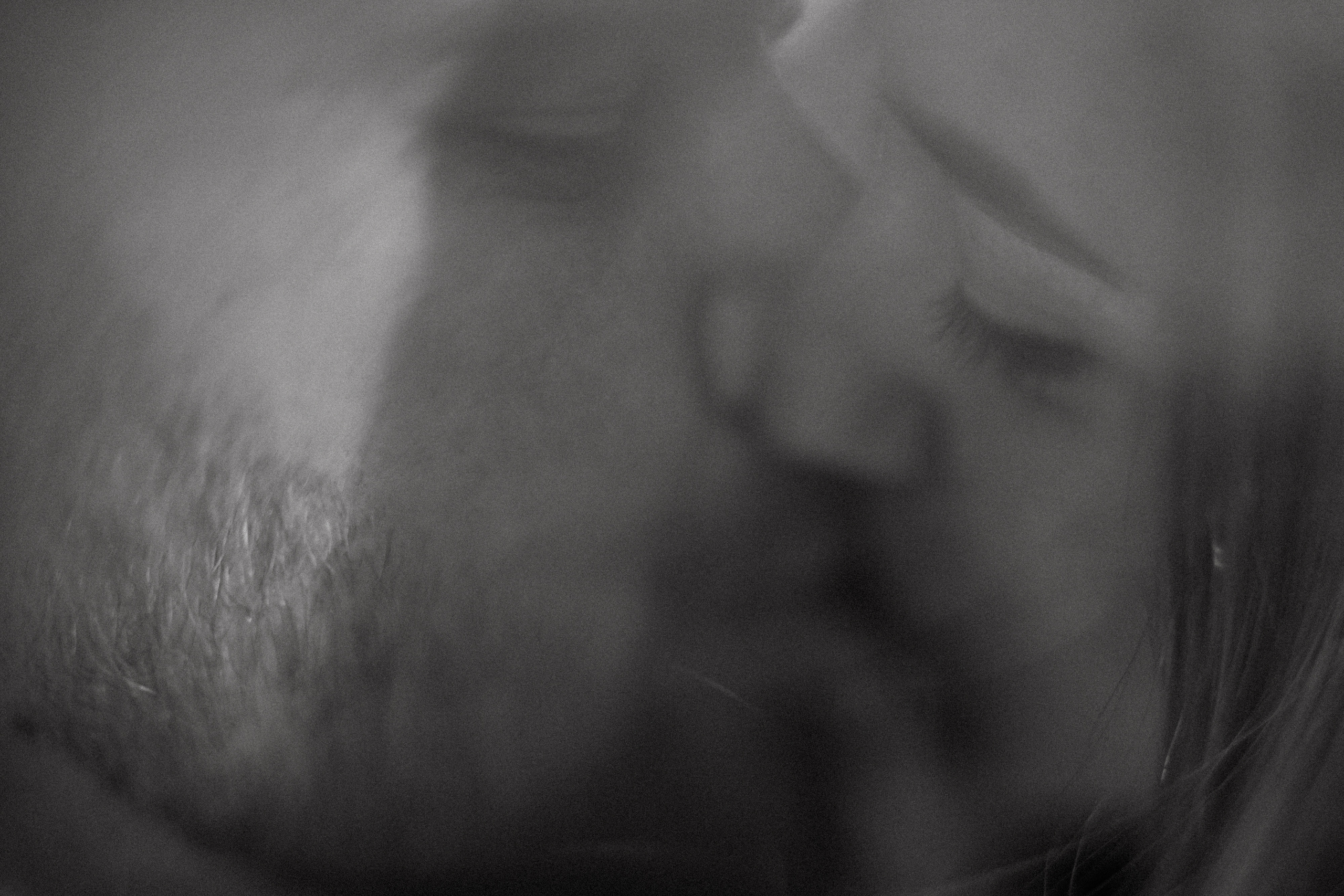 Женя и Маша. Свадебный фотограф Таня Караисаева