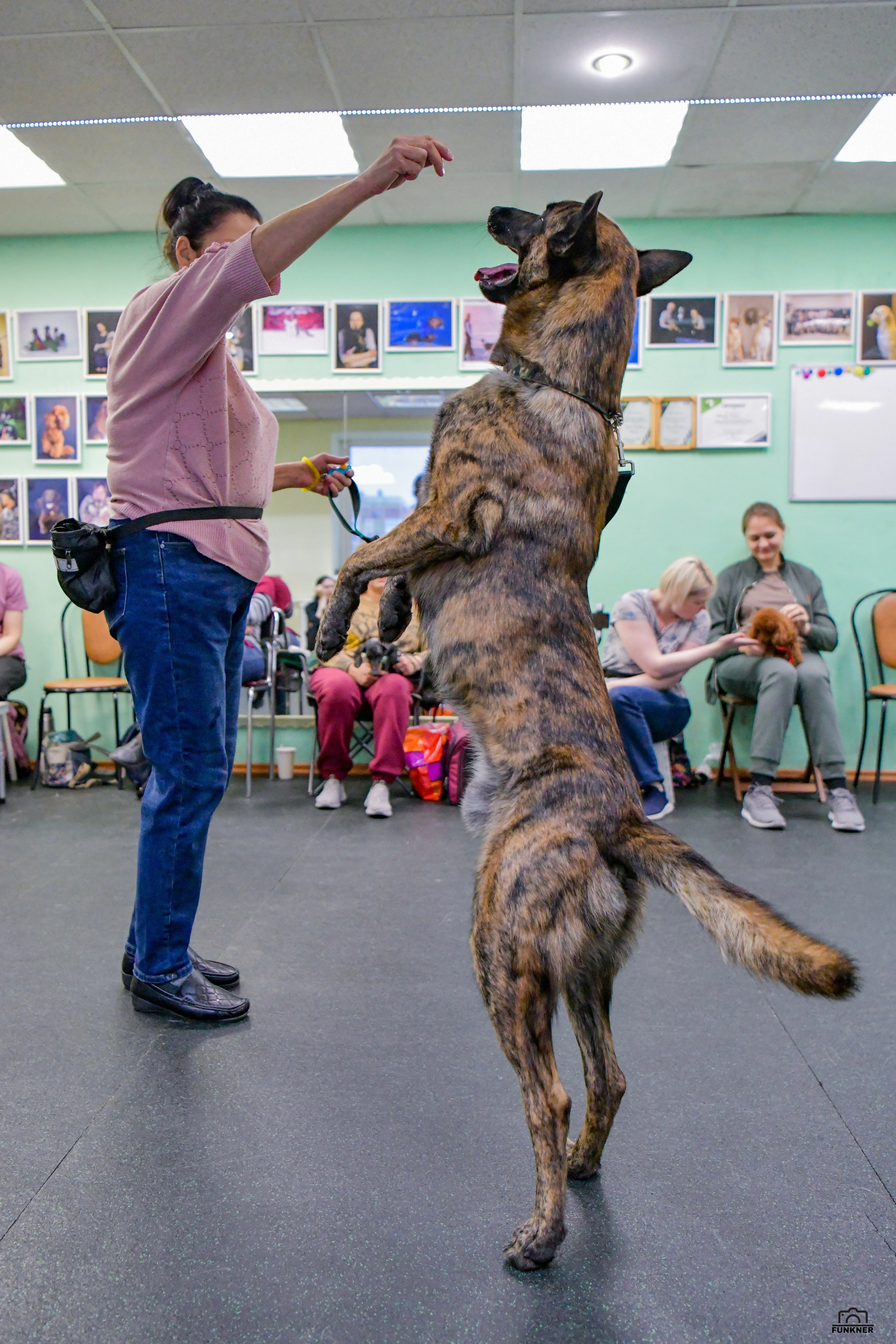 Кинологический клуб «Бодрый хвост». Свой взгляд через объектив