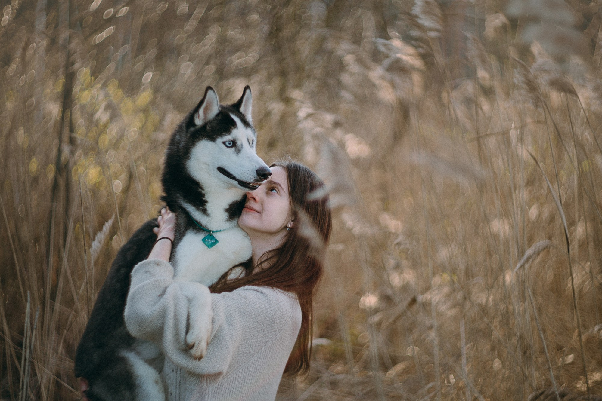 Наташа и Сириус. Фотограф анималист в Москве и Санкт-Петербурге Свиридова Анна