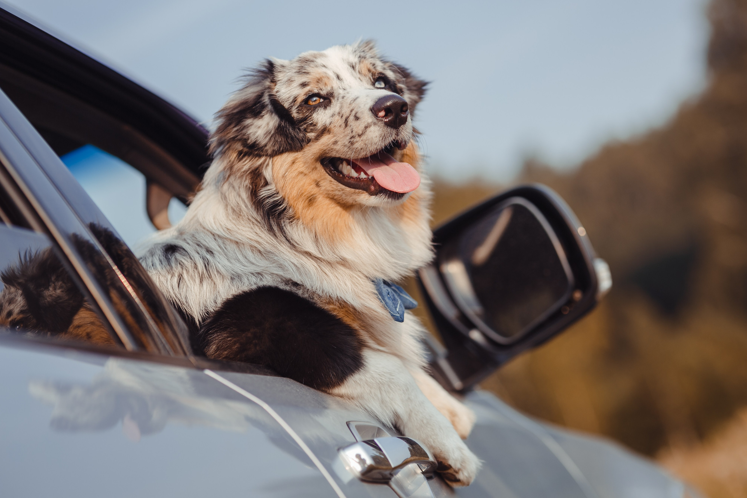 Mike. PHOTOGRAPHER romanoff-egor