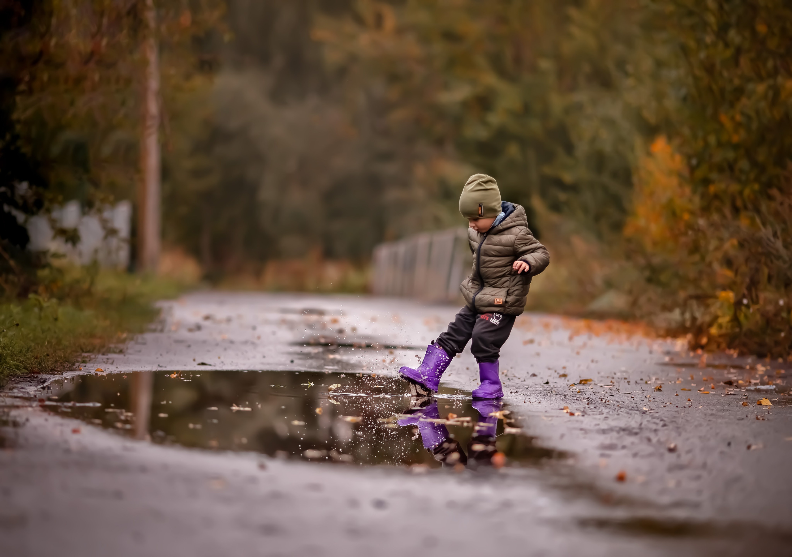 Осень в дерене. Ольга Смирнова юрист, фотограф