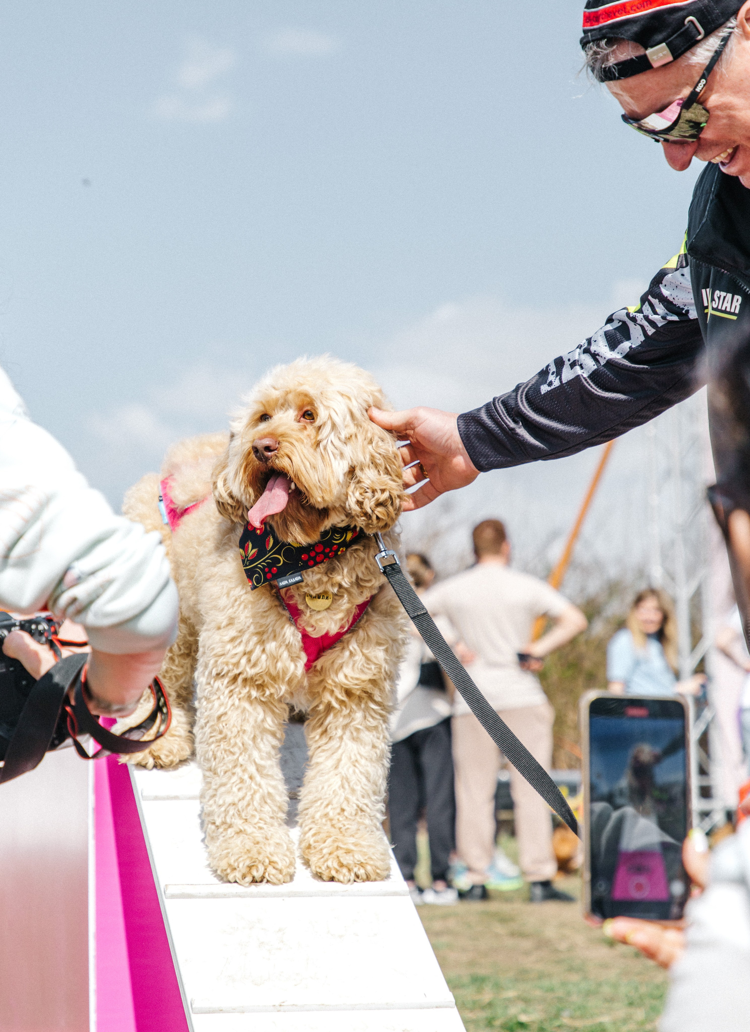Кросс «Быстрый пёс» 2025. Репортажный фотограф в Москве
