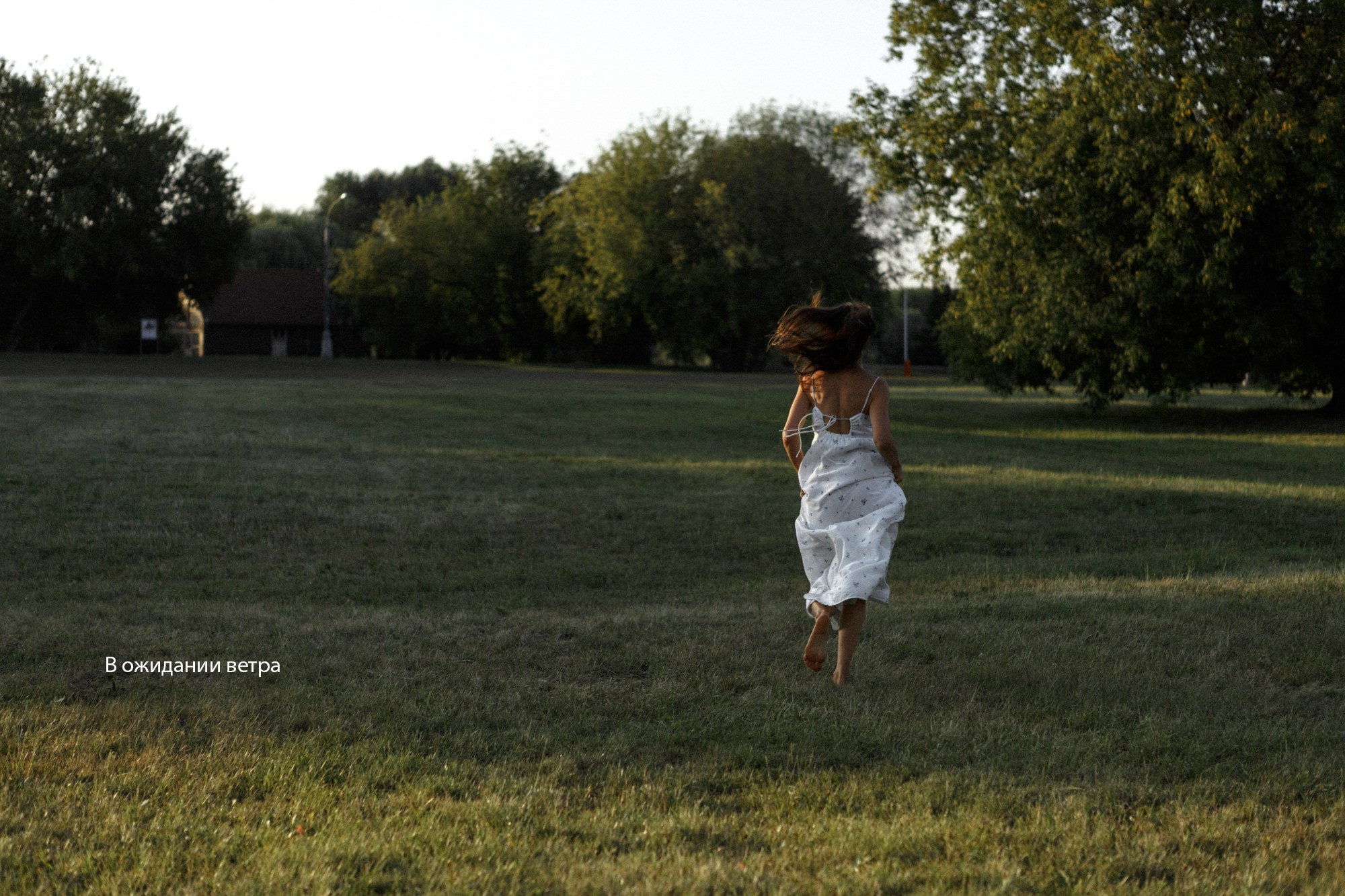 В ожидании ветра. Фотограф Владимир Молоканов