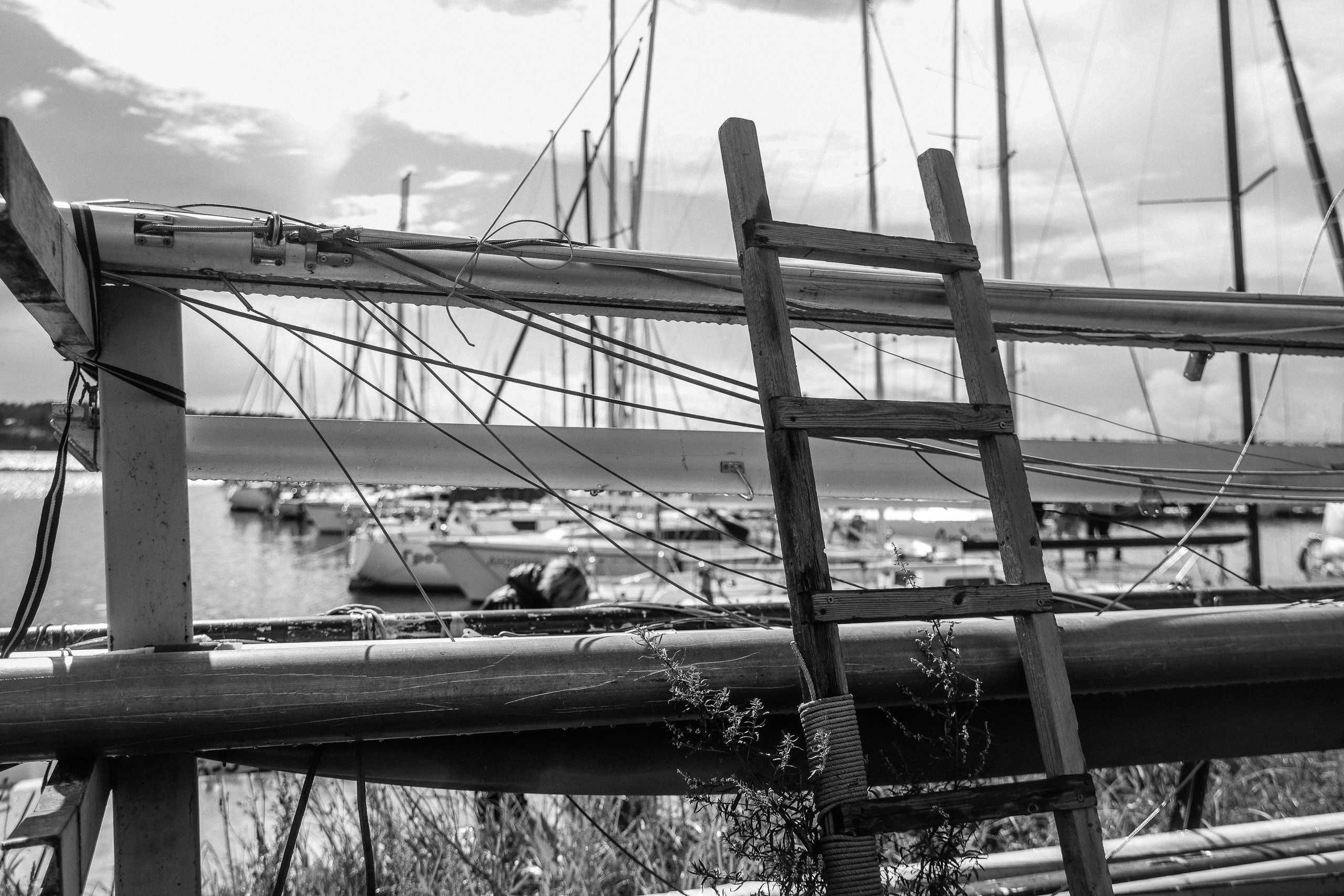 Корпоратив AMD на Регате. Фотограф Юлия Мальцева