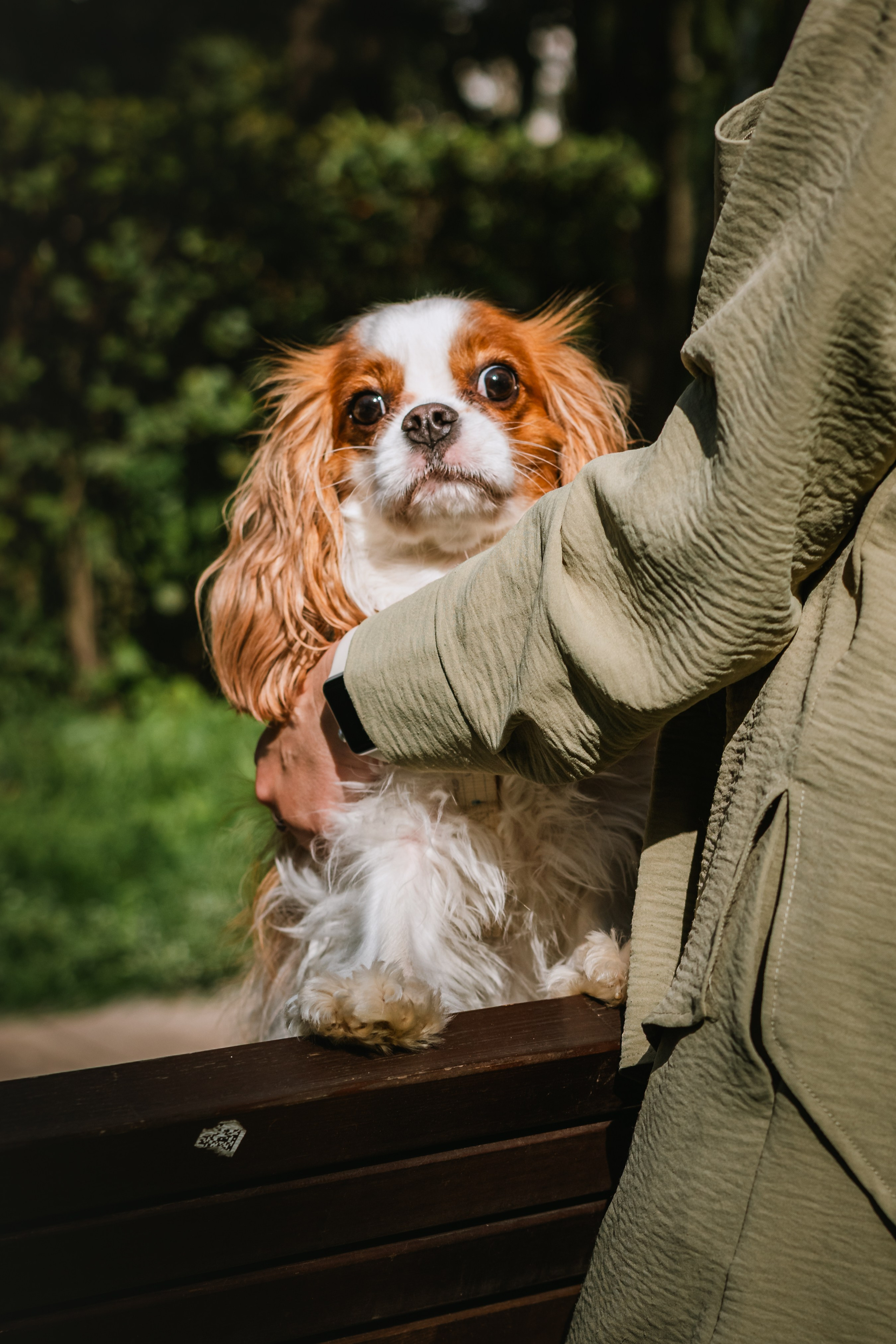 Фотопрогулка на бульваре. Фотограф-анималист Татьяна Степанова