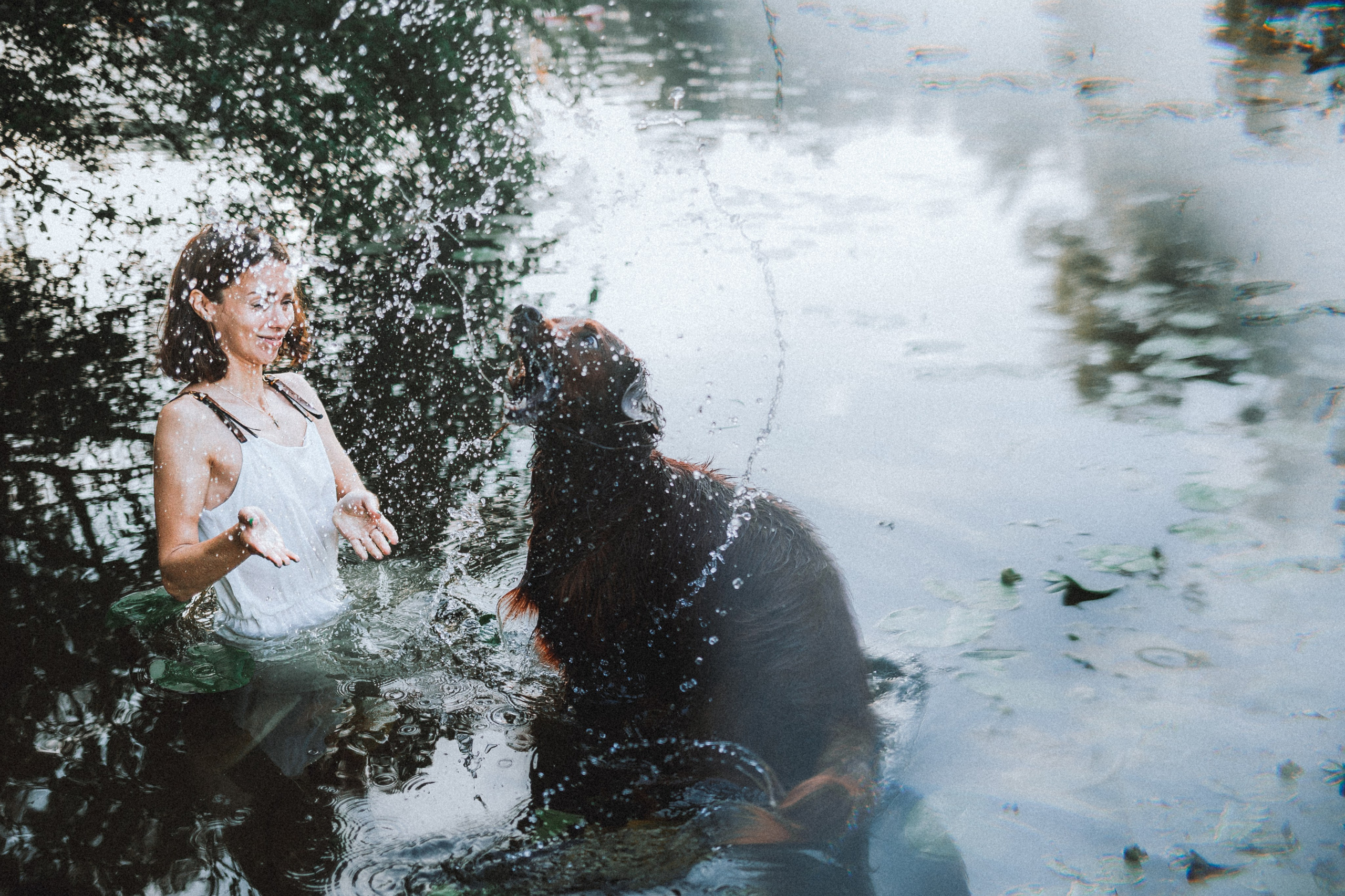 Маша и Джерри