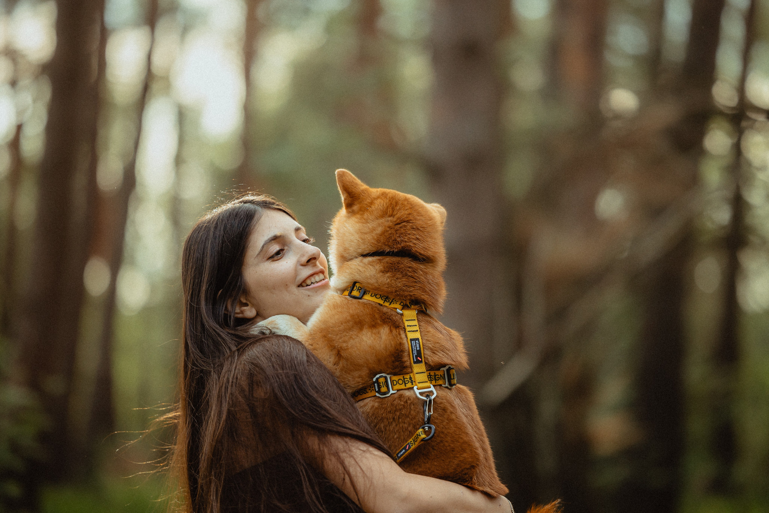 Выездной дог-тренинг от школы «Шерсть имею»