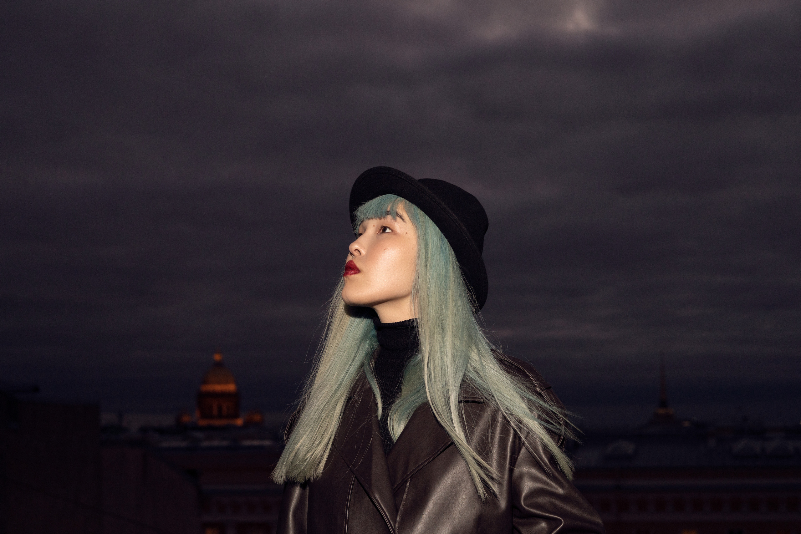 Roofs of Petersburg. Home