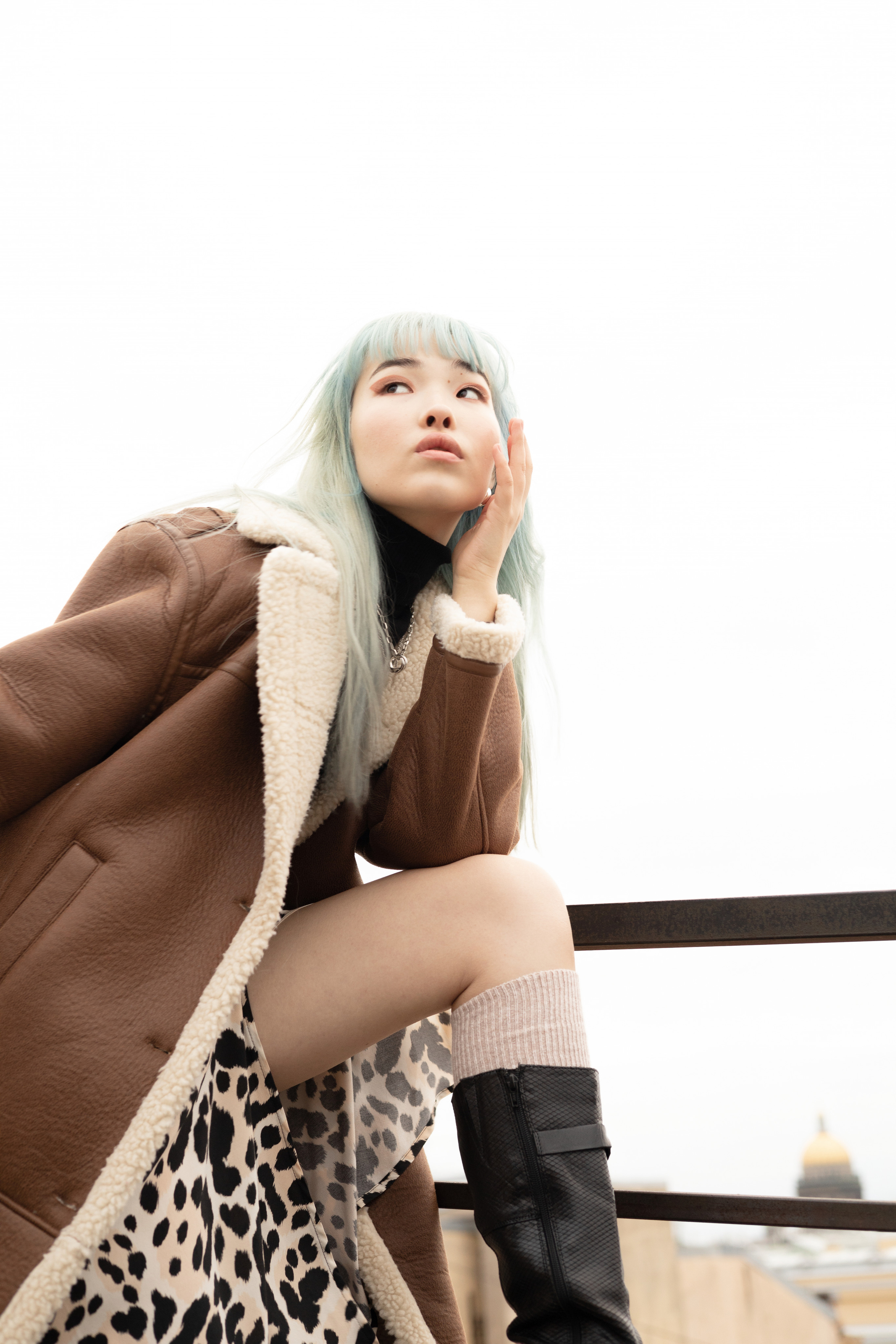 Roofs of Petersburg. Home