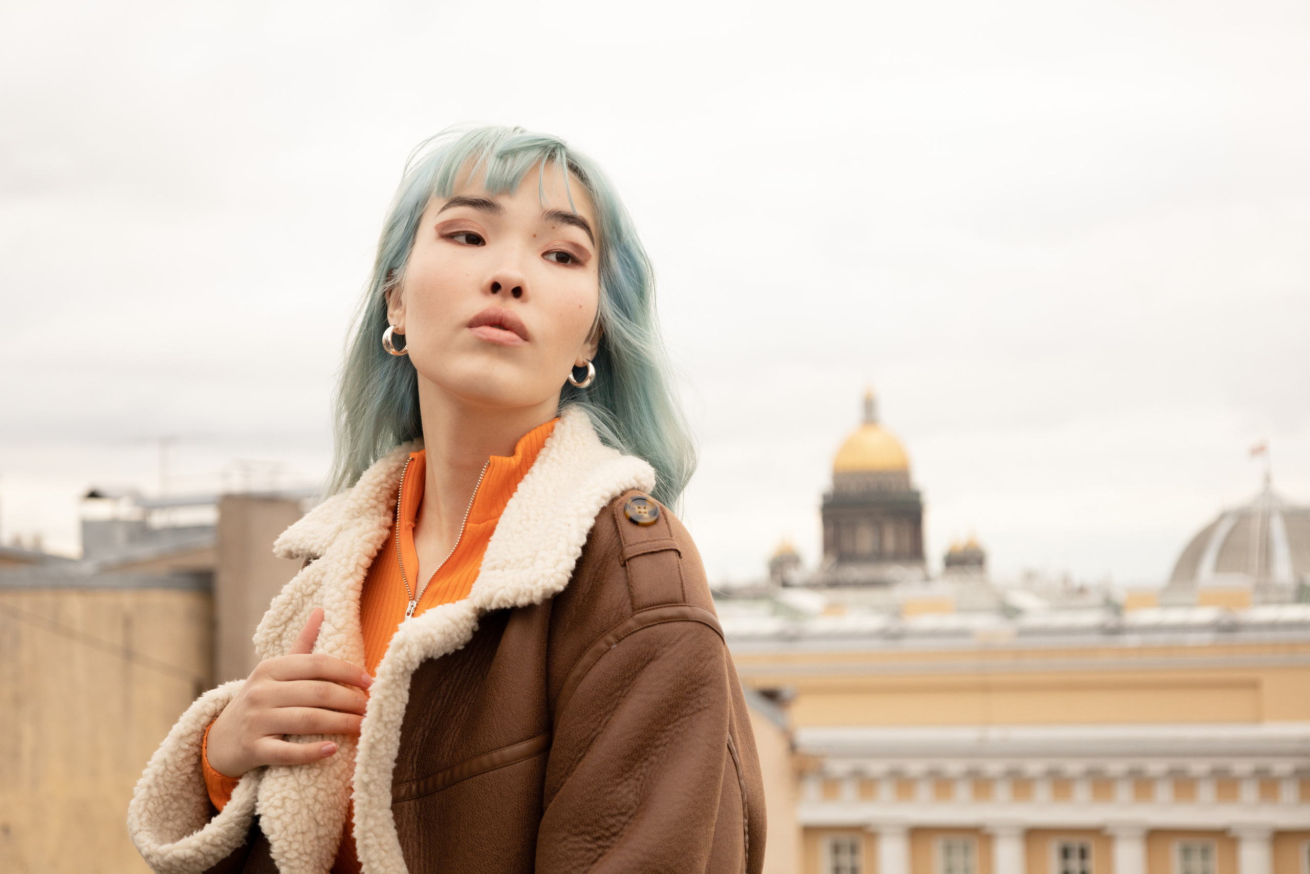 Roofs of Petersburg. Home