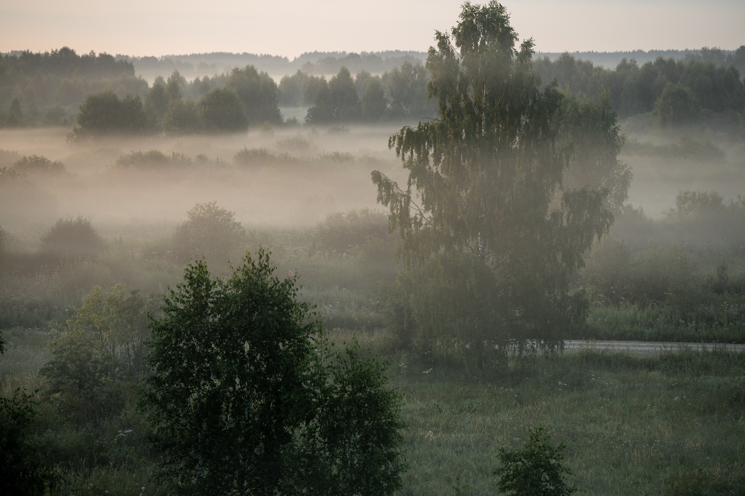 Природные пейзажи. Наталия Клевинскас портретный фотограф в Костроме