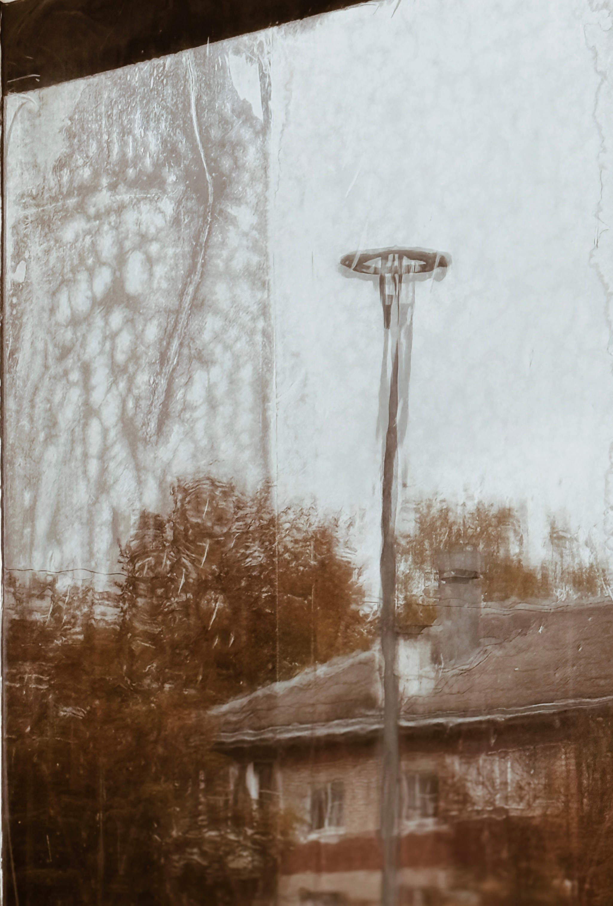 Ai. Фотограф Арсений Королев