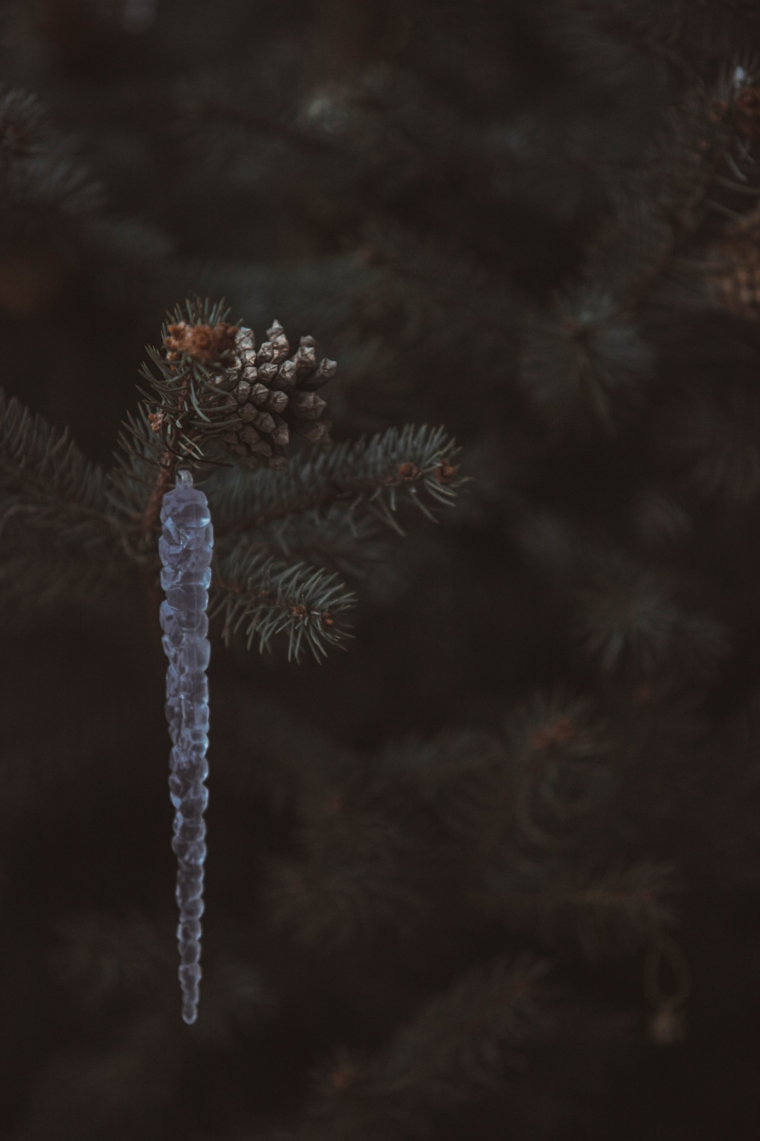 Ночная Москва. Александра Мельниченко/ Бегающий фотограф