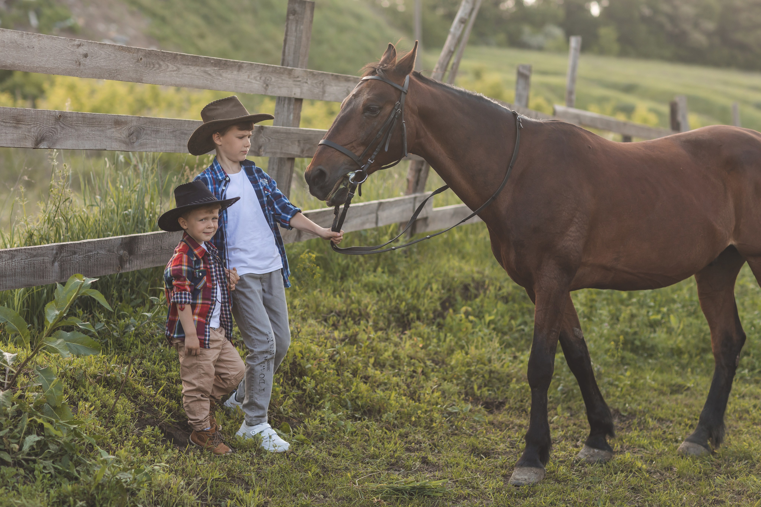 Лошадки. Семейный и детский фотограф Краснодар Валерия Власенко
