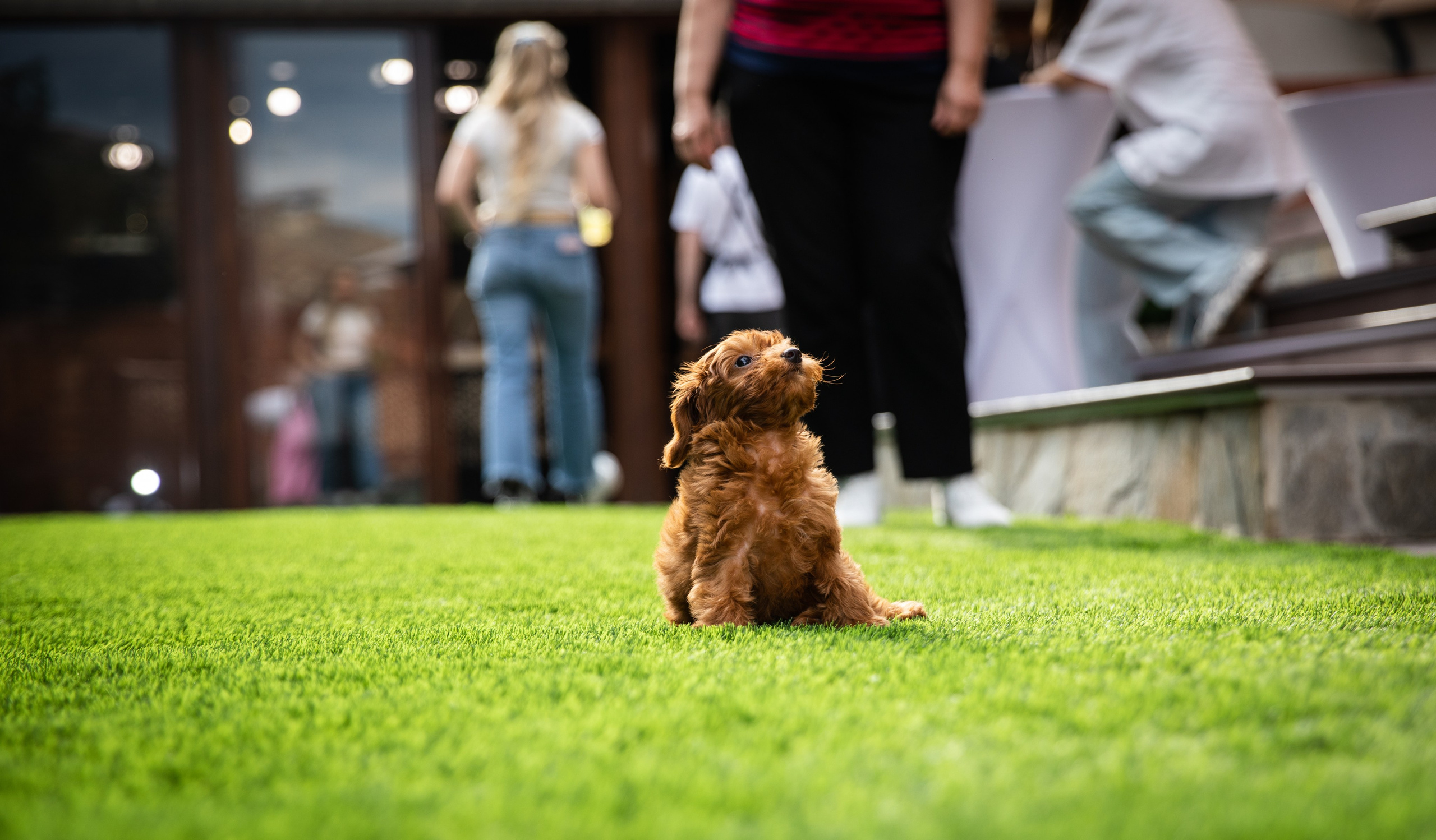 День Рождения Егорки -2025. VoronEvent. Репортажный и свадебный фотограф в Челябинске Елисеев Павел