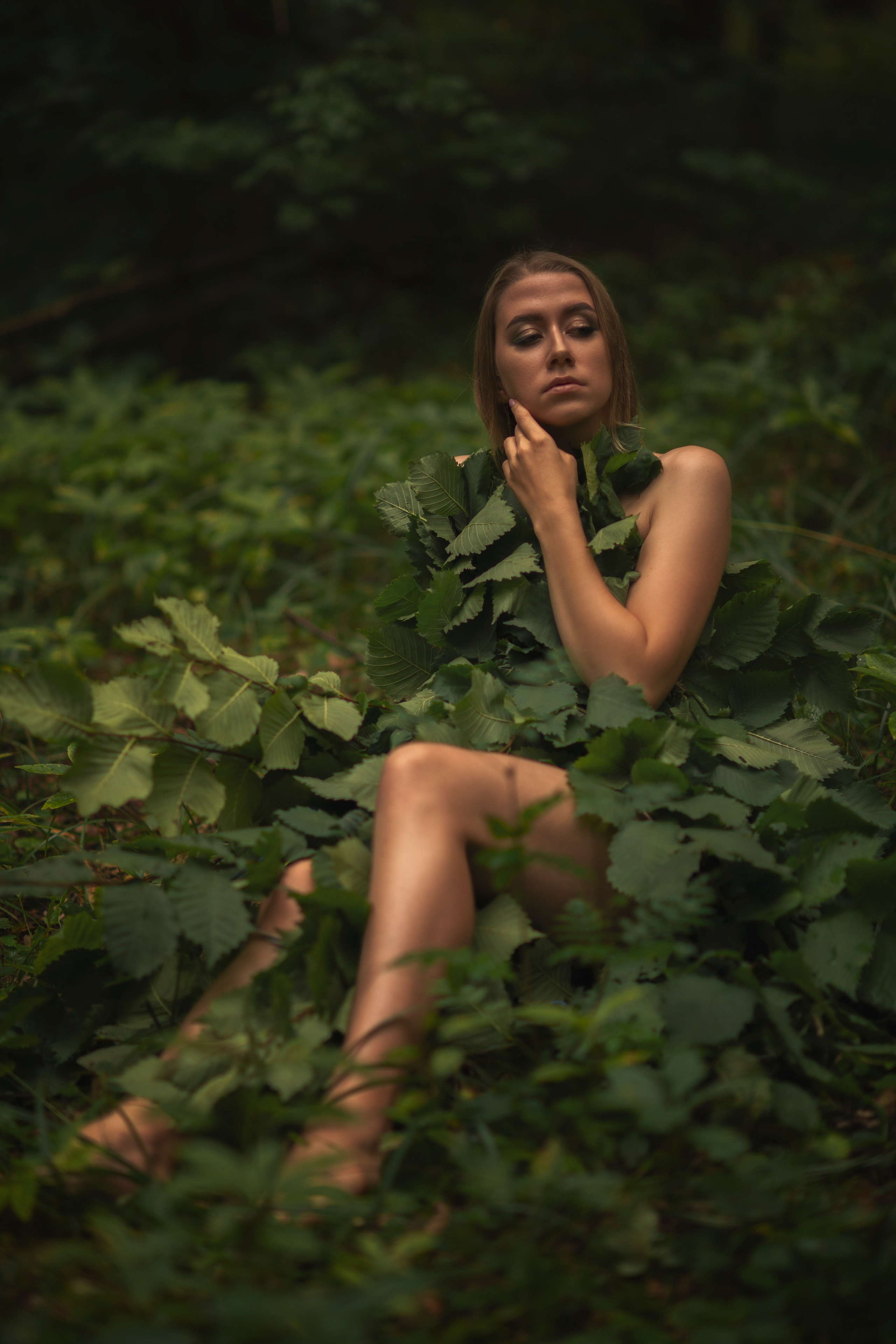 Лесная сказка