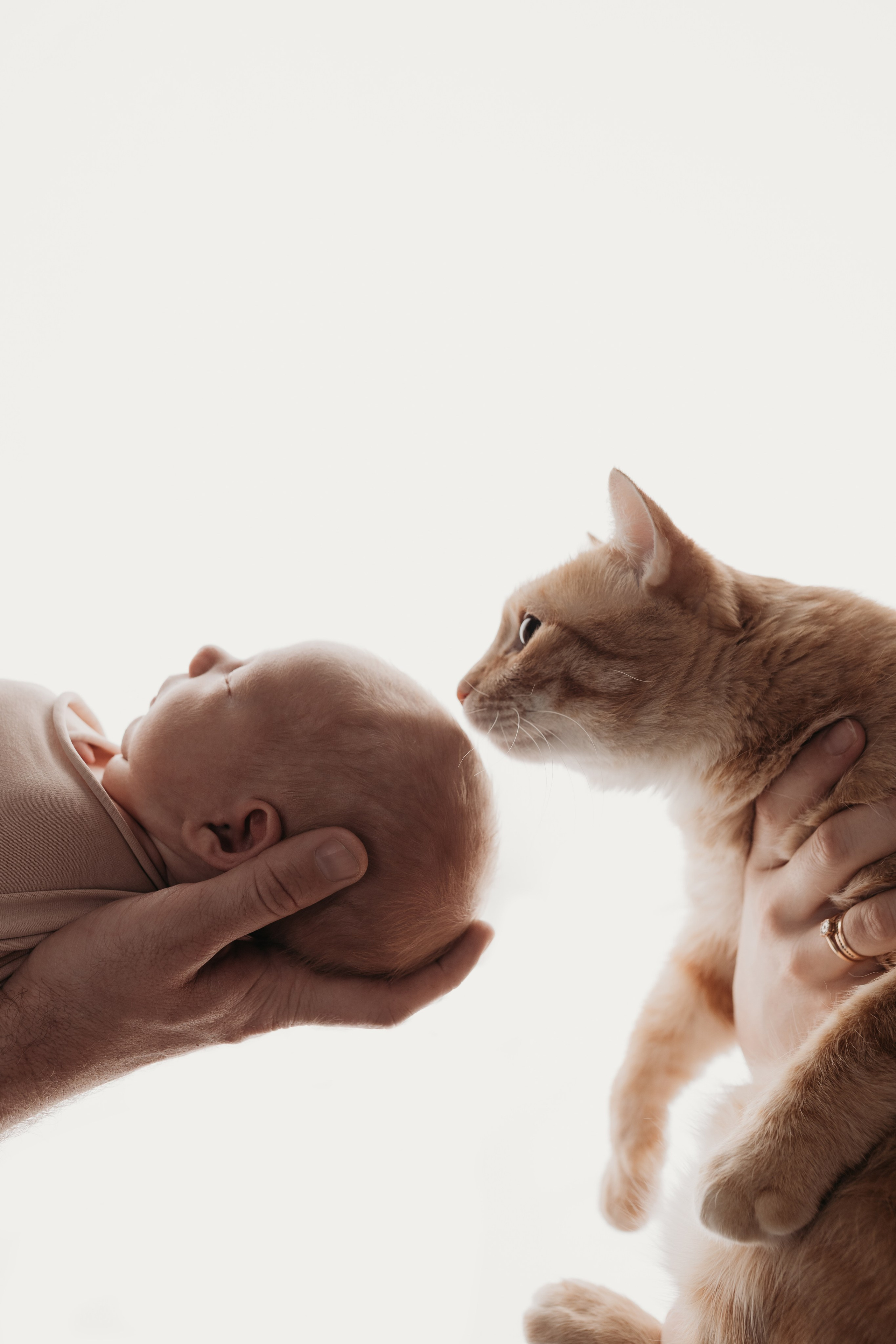 Фотосессия новорожденного в БОХО стиле. Фотограф новорожденных в г. Барнаул Ренпенинг Катерина