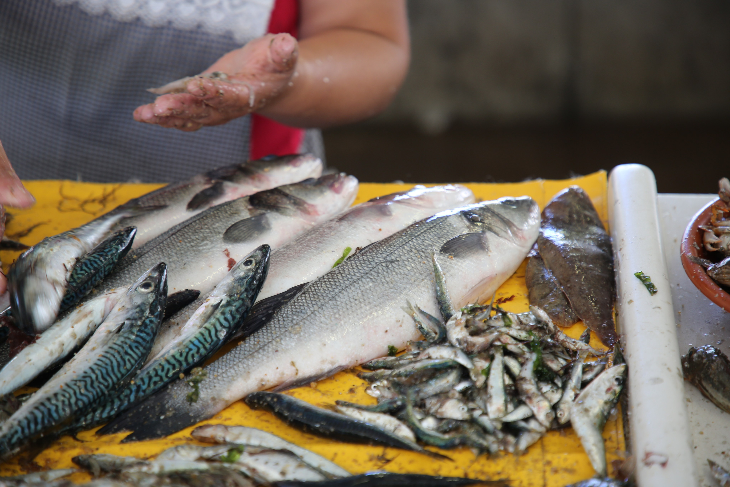 Espihnio, Portugal. Andrey Filippov Photographer