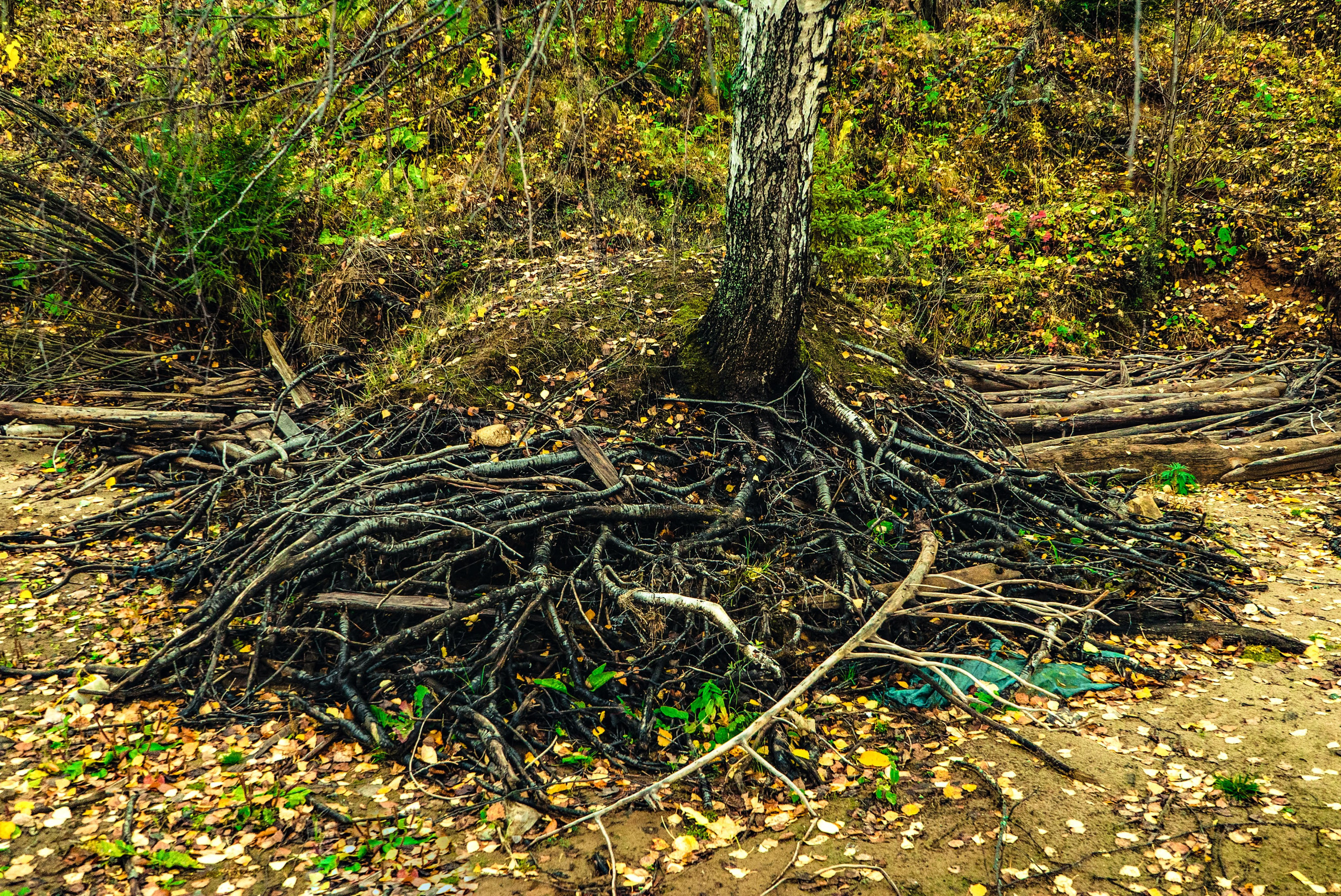 Фотографии Природы Урала, Пермского края, Хохловка. Мари Линёк-Стельмах Фотохудожник Санкт-Петербург/Урал