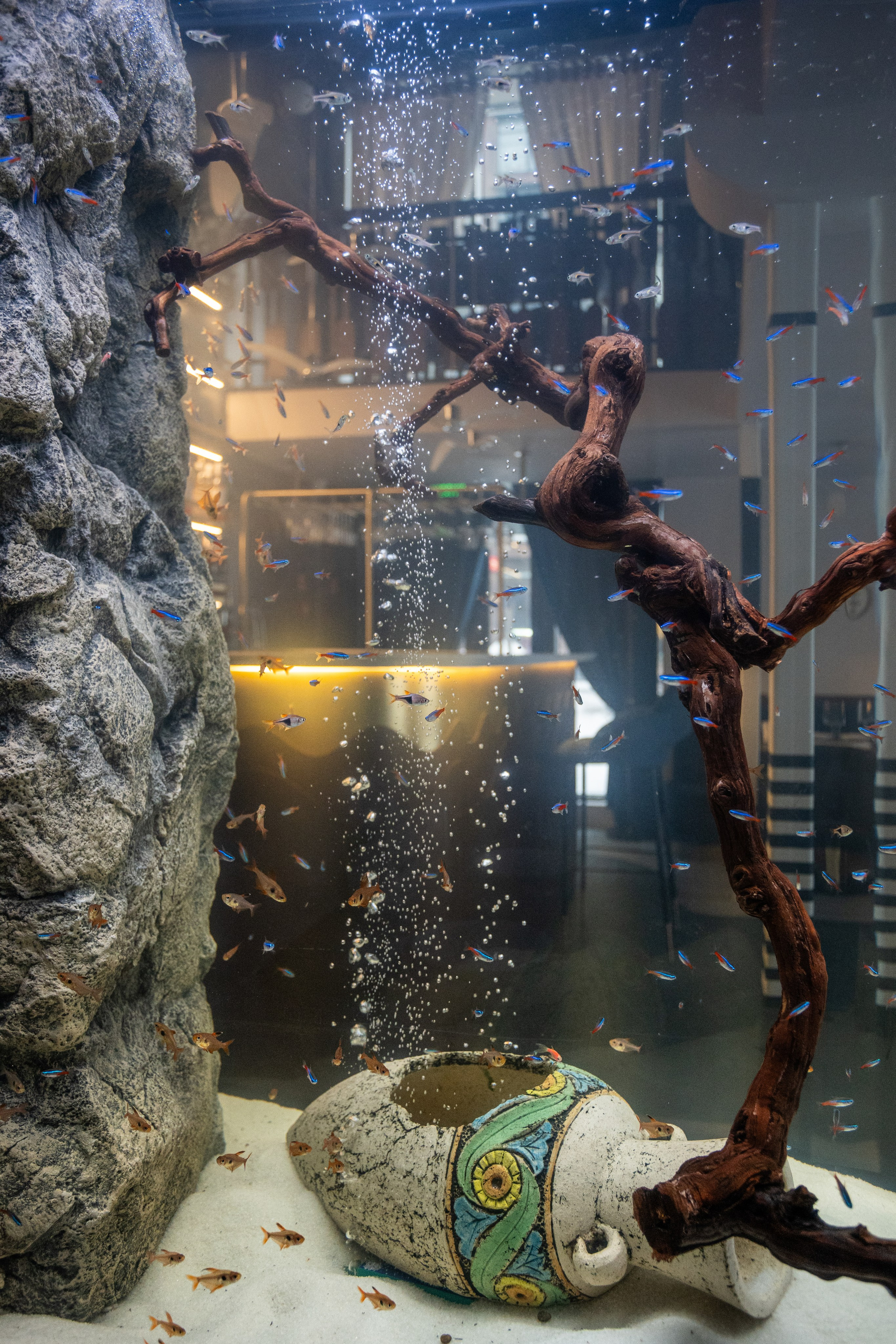 Профессиональная съёмка ресторанов. Интерьерный фотограф Александра Солдатова