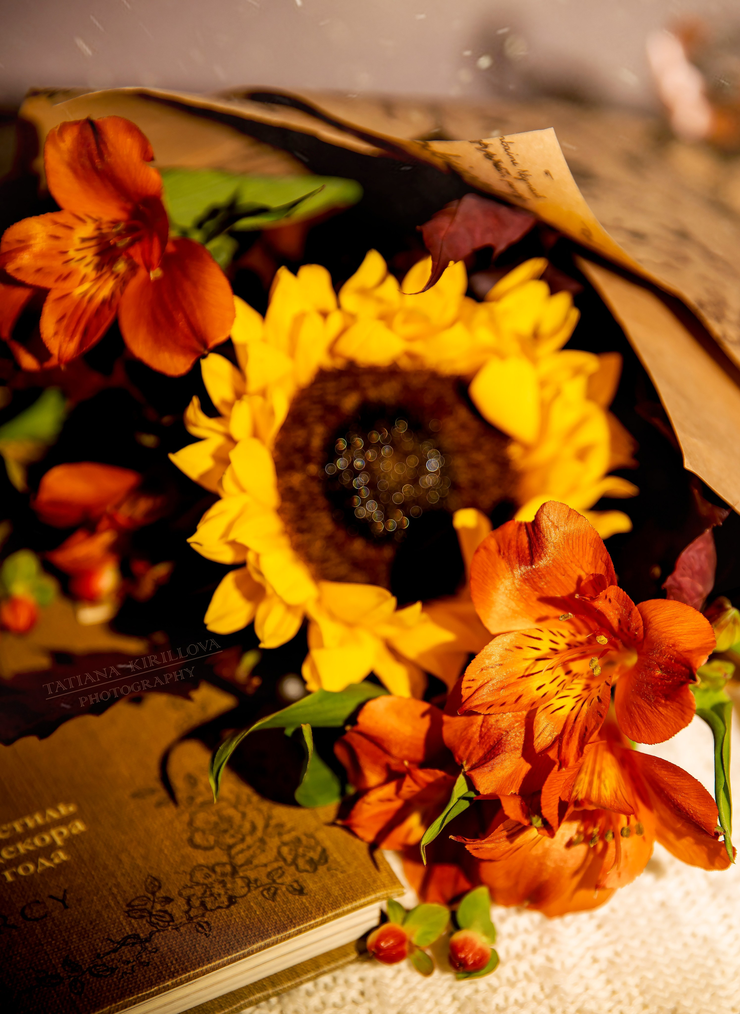 Предметная съемка, цветы, открытки. Фотограф — Татьяна Кириллова, г. Санкт-Петербург
